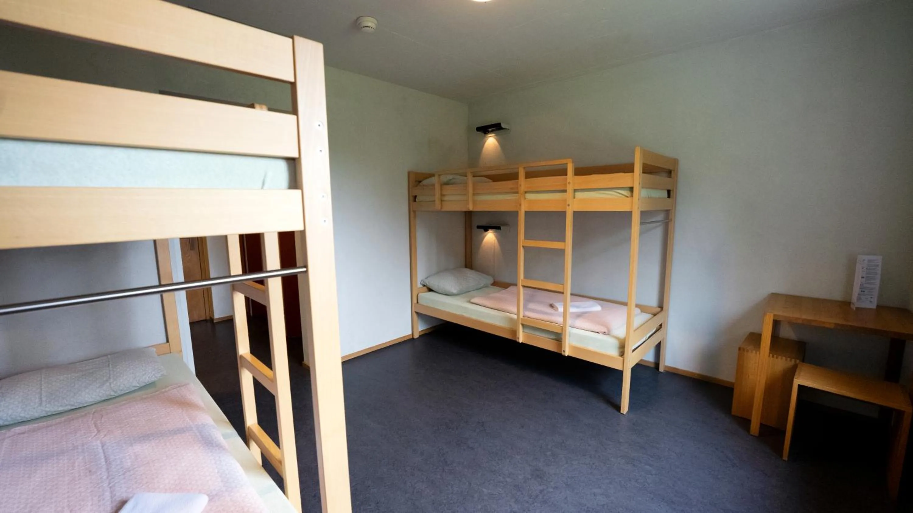 bunk bed, Bed in Valbella-Lenzerheide Youth Hostel