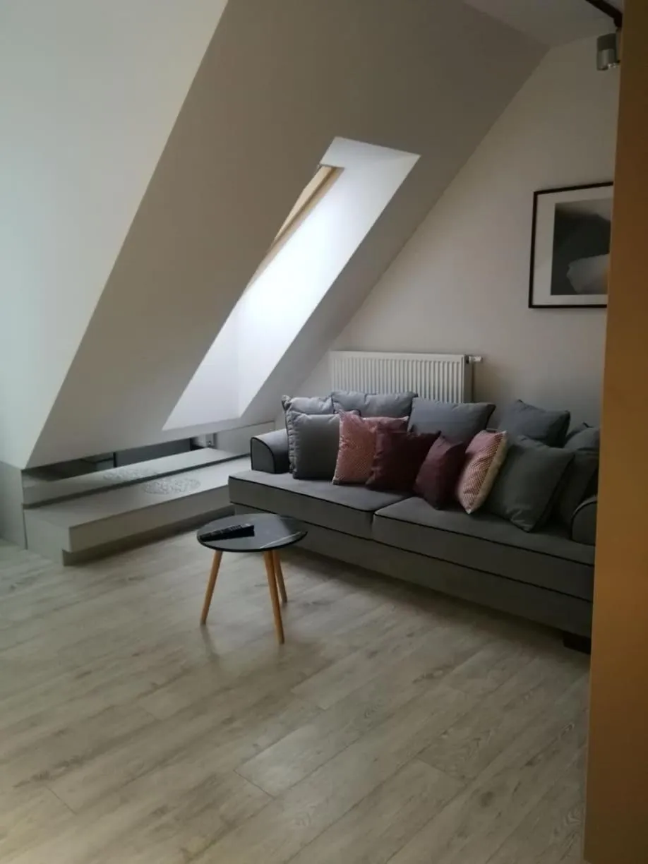 Living room in Absyntapart - Bulwar Staromiejski