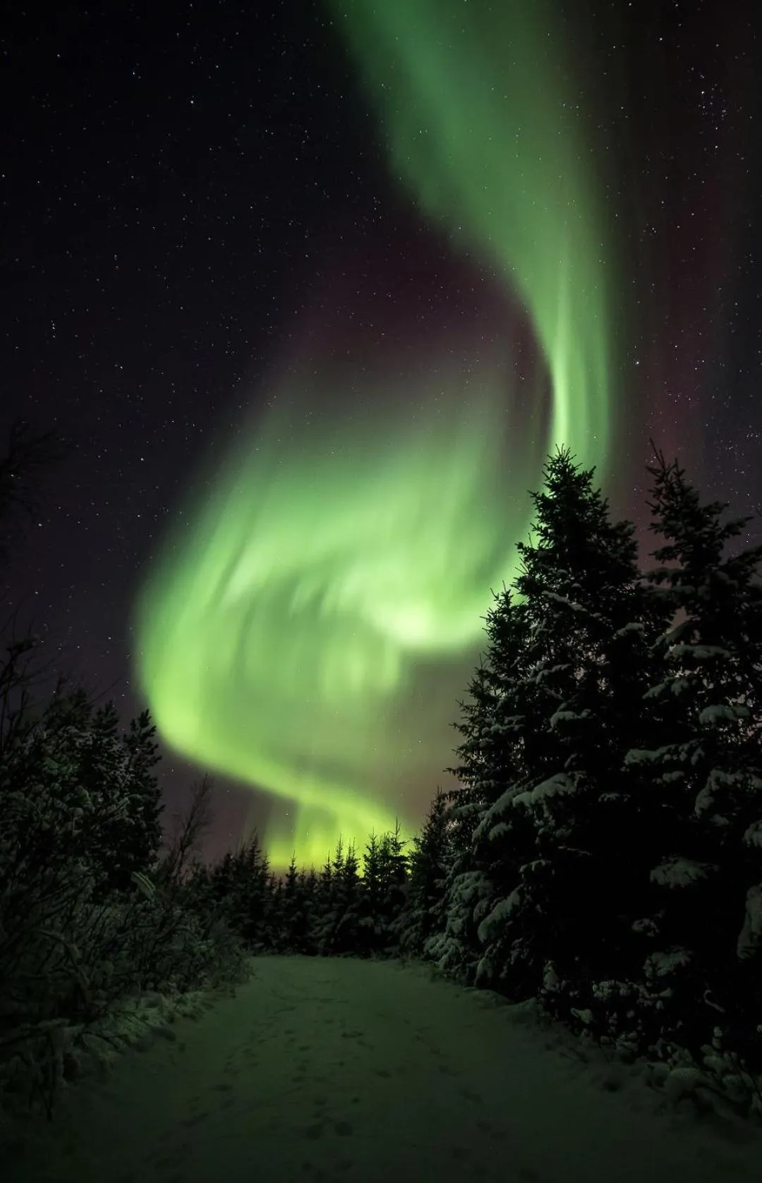 View (from property/room) in Aurora Borealis Observatory