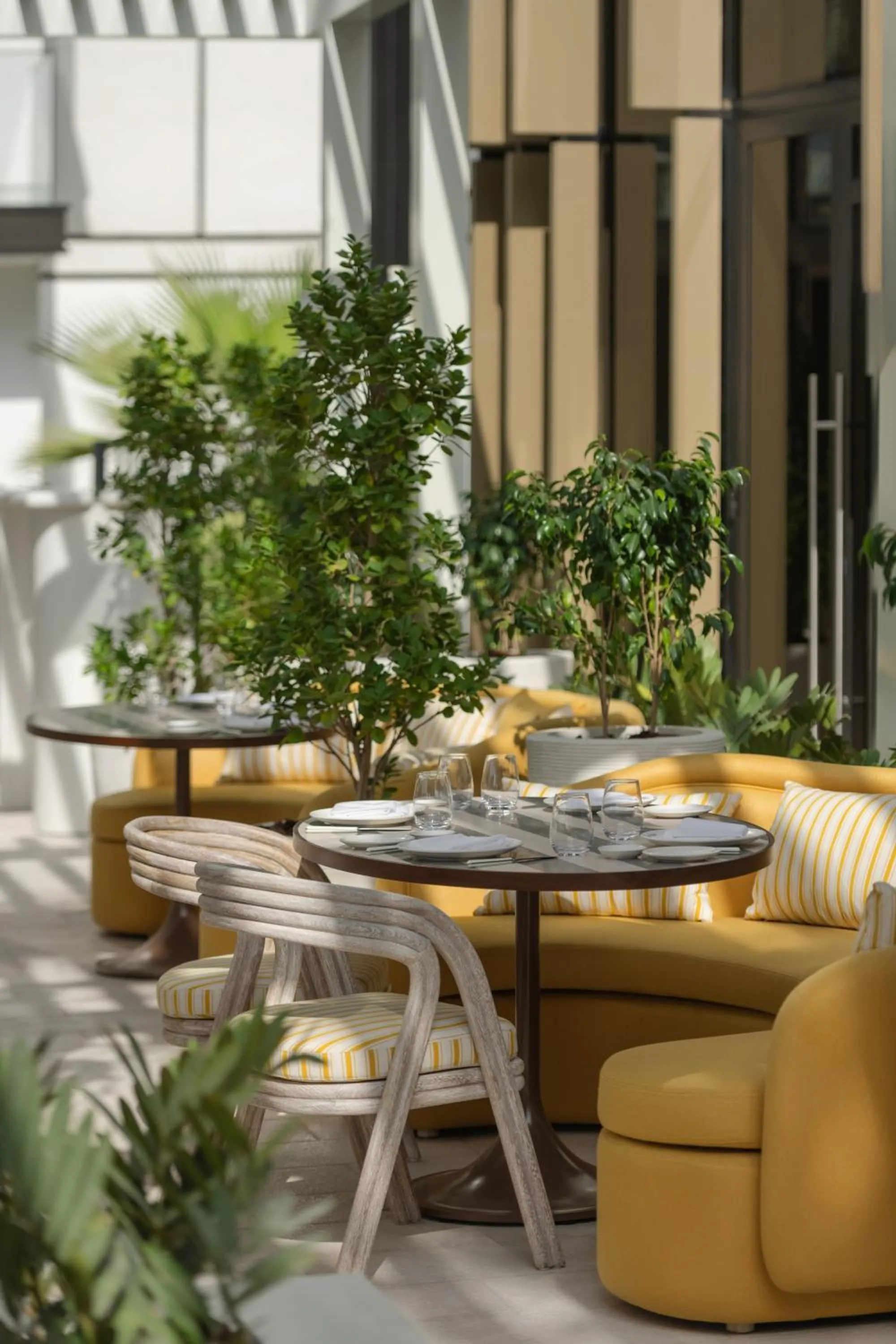 Restaurant/places to eat in Caesars Palace Dubai