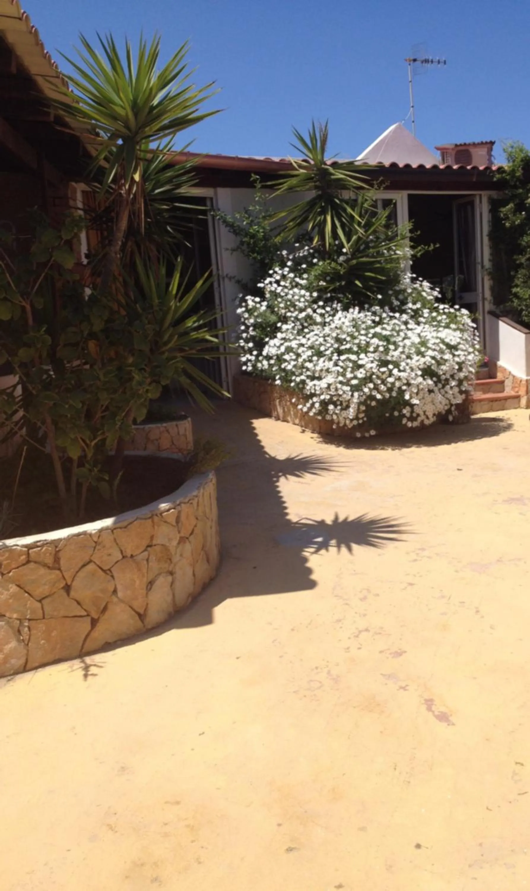 Garden view in Luagos club Resort