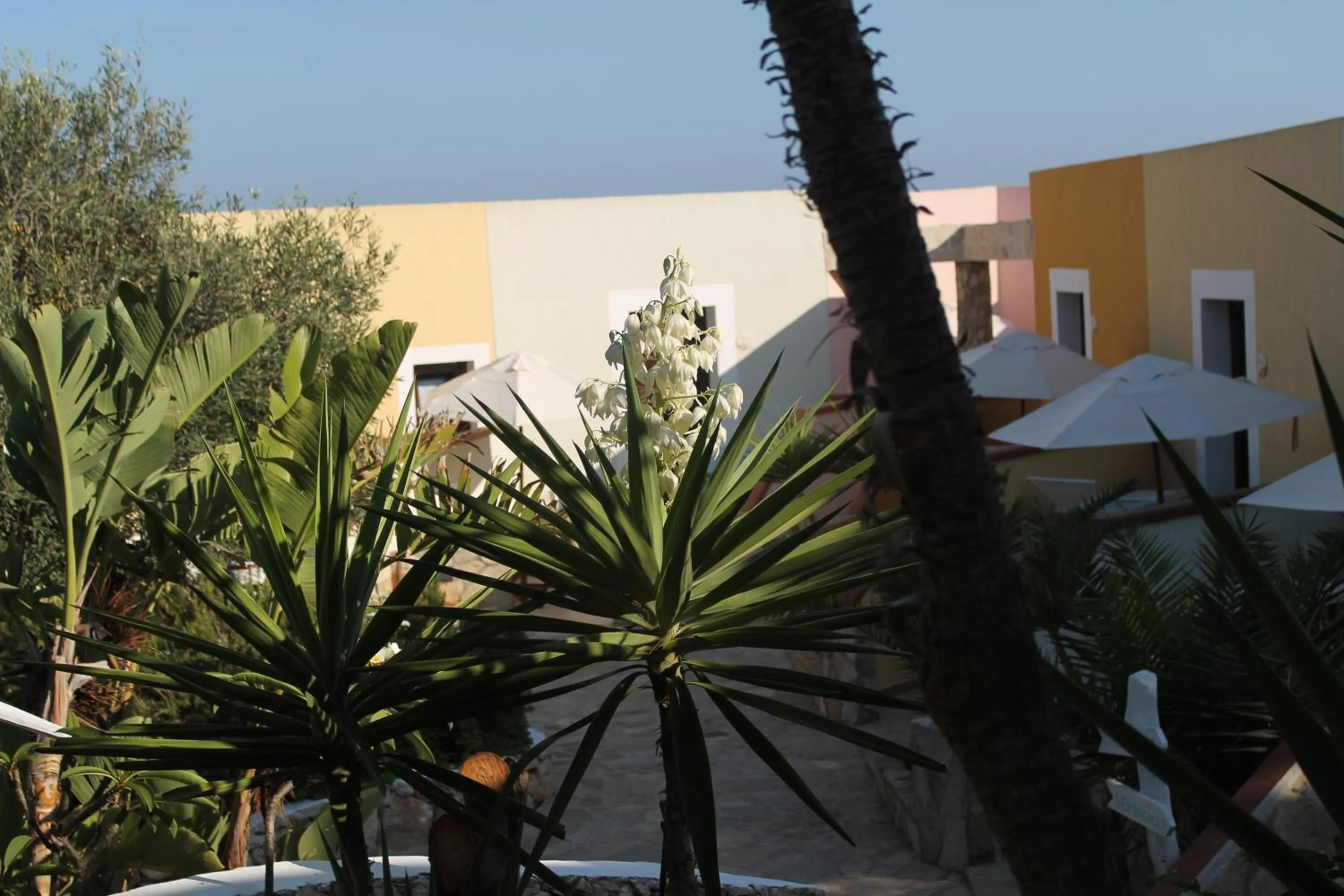 Garden in Luagos club Resort