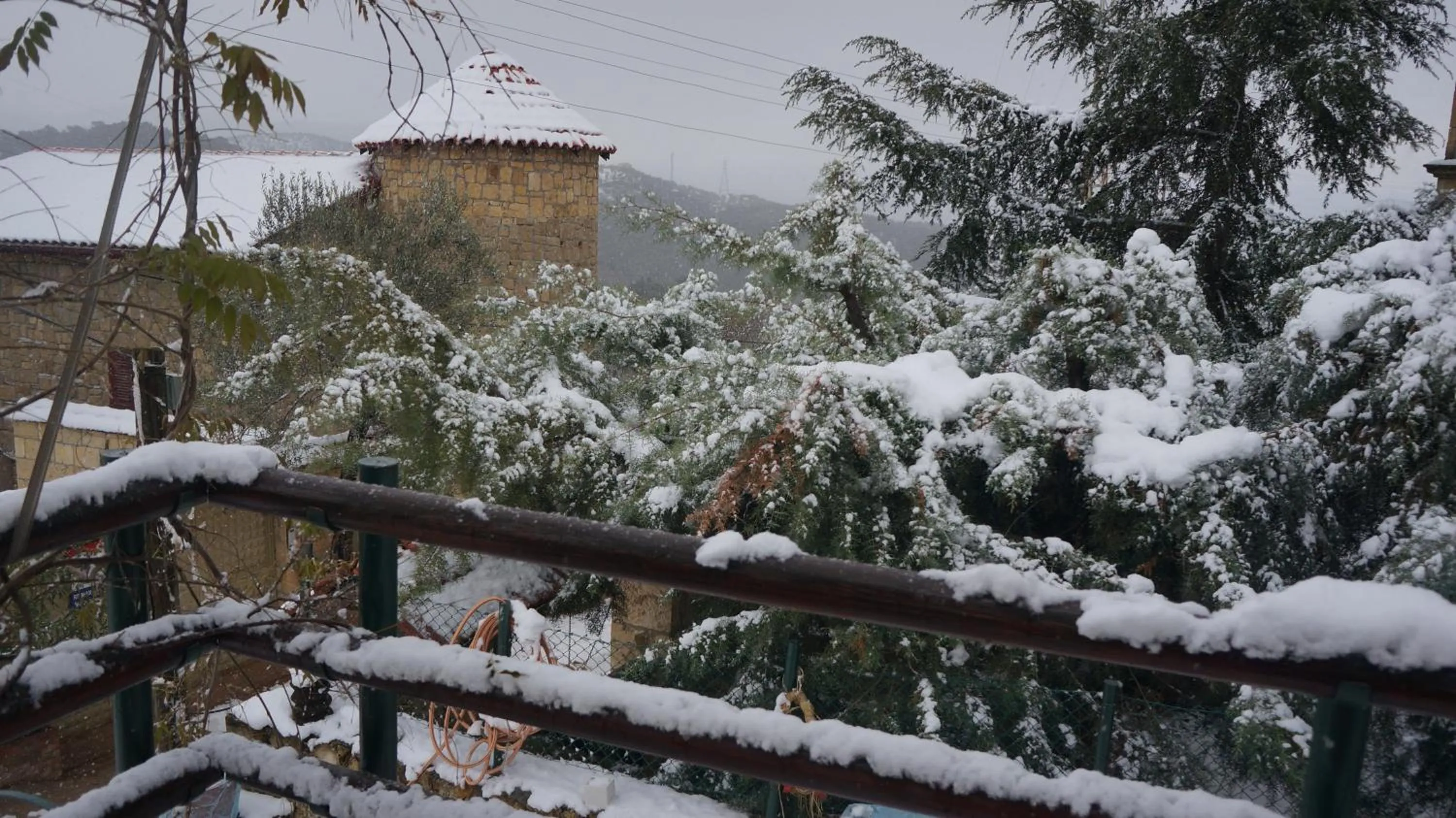 Garden in Kisik Konagi