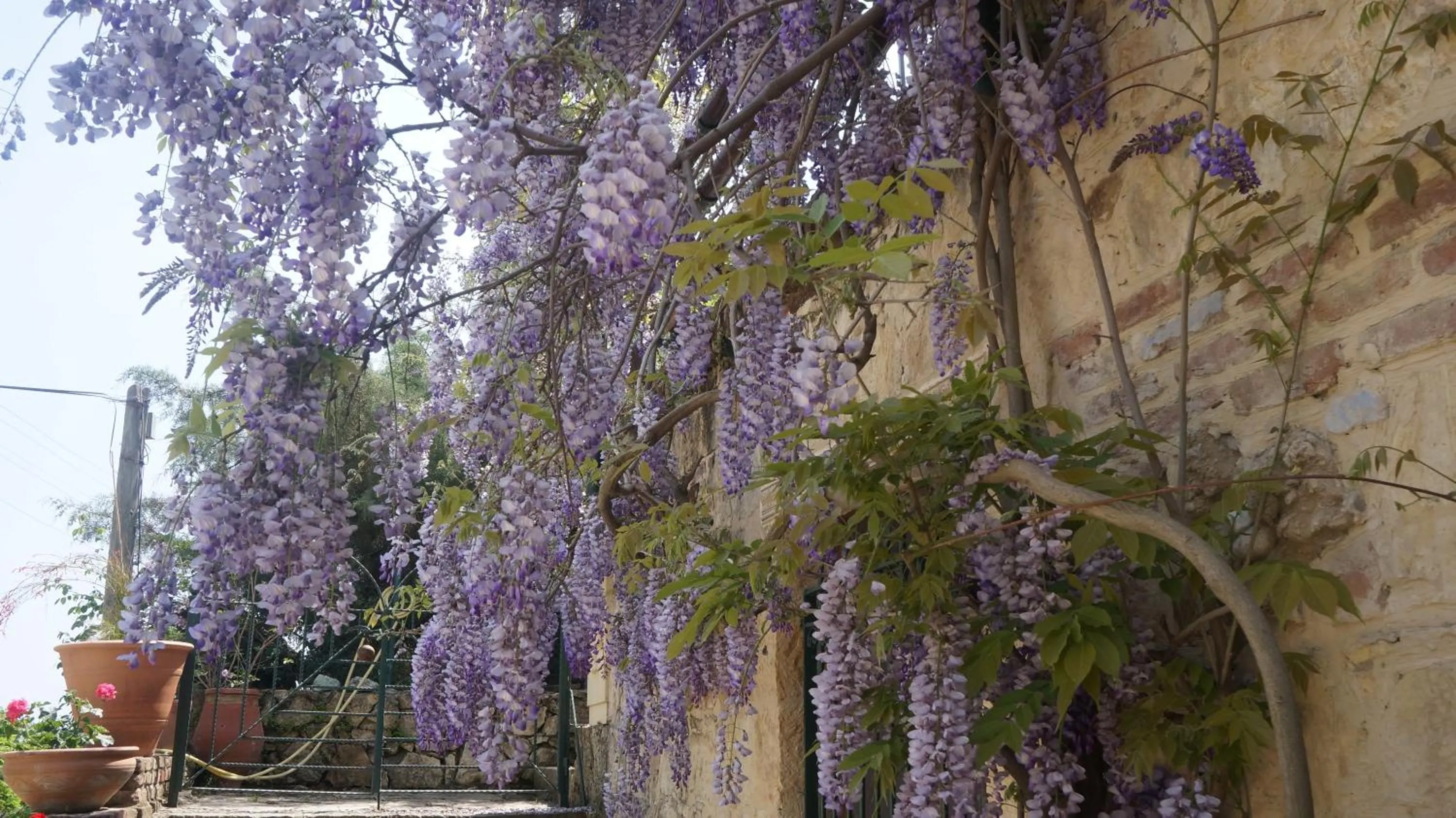 Facade/entrance in Kisik Konagi