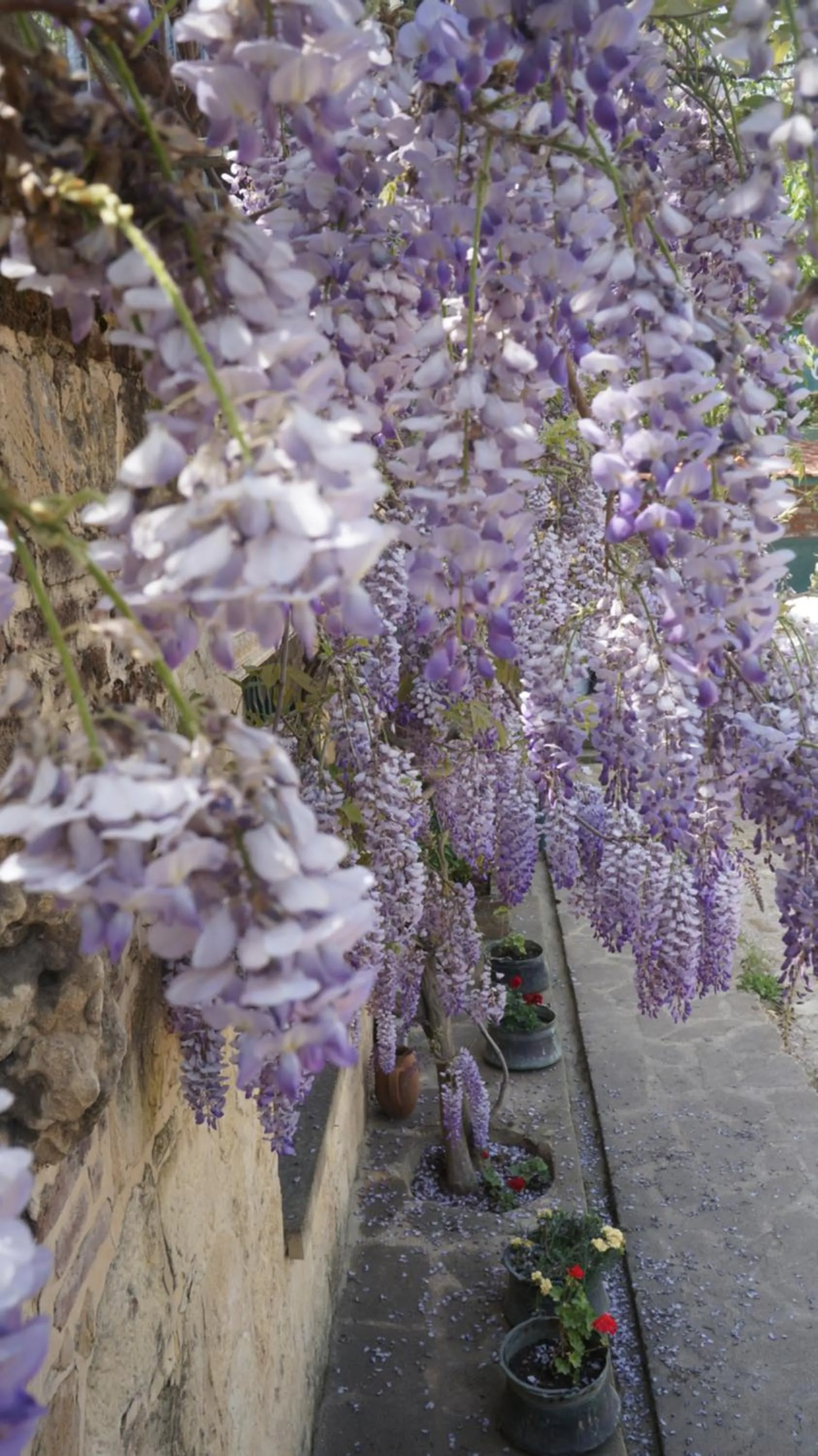 Natural landscape in Kisik Konagi
