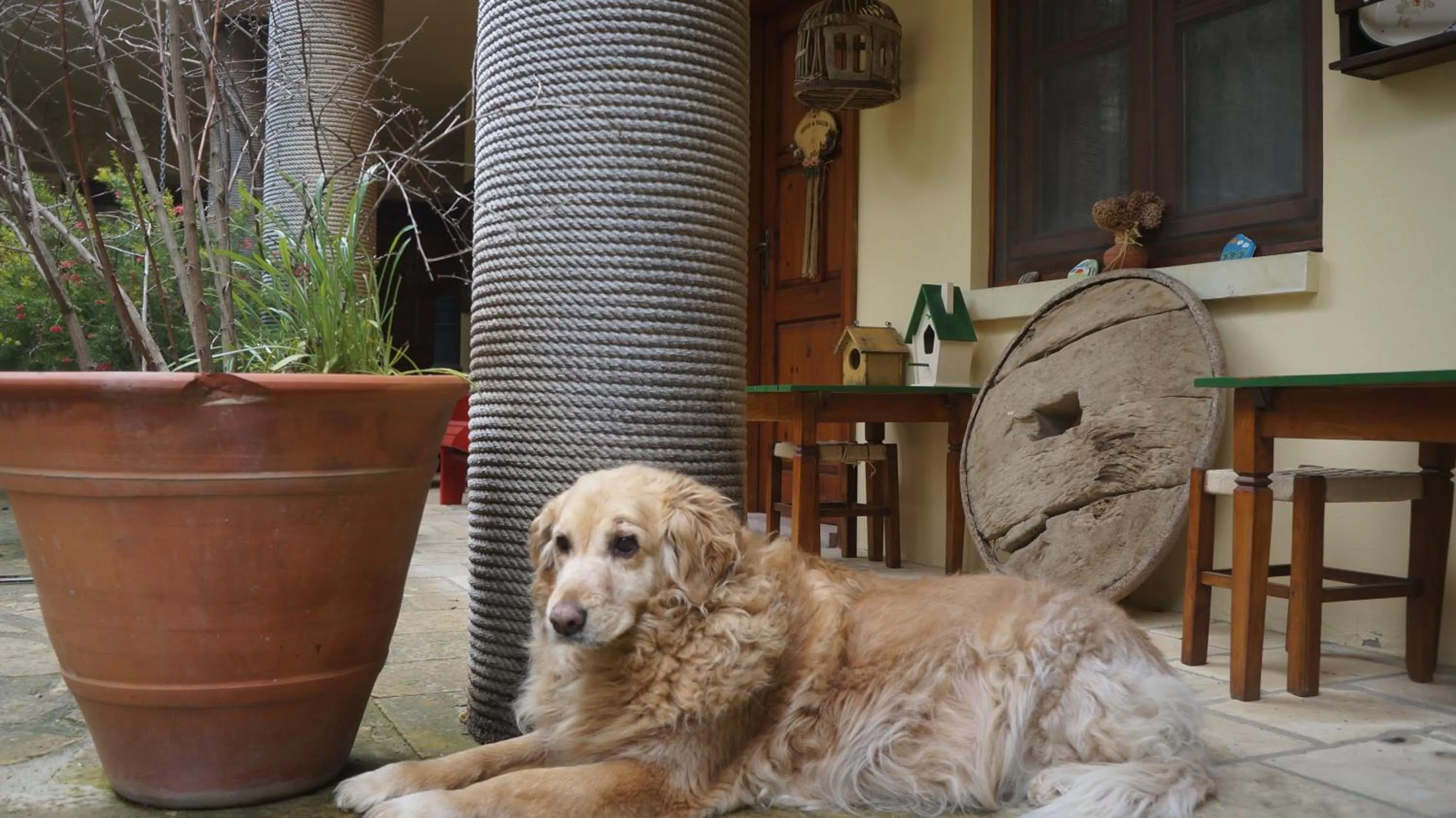 Activities in Kisik Konagi