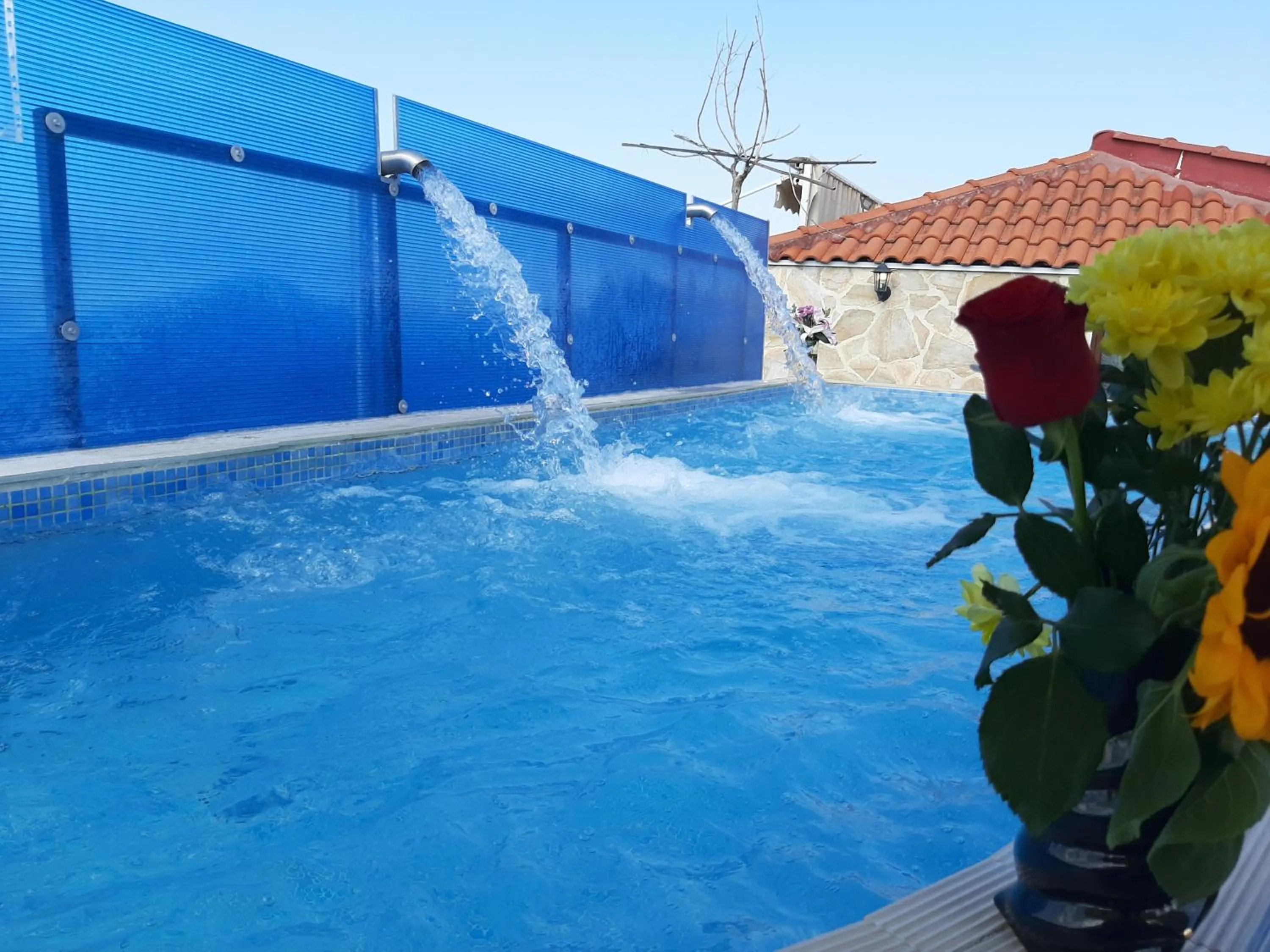 Hotel Flesvos