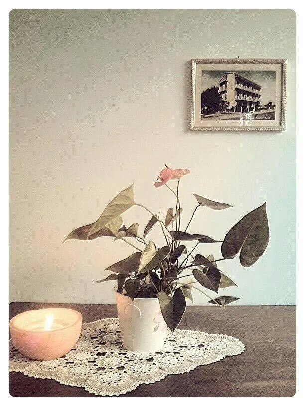 Restaurant/places to eat in Hotel Rosati