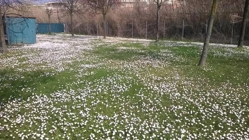 Parking in Hotel Rosati