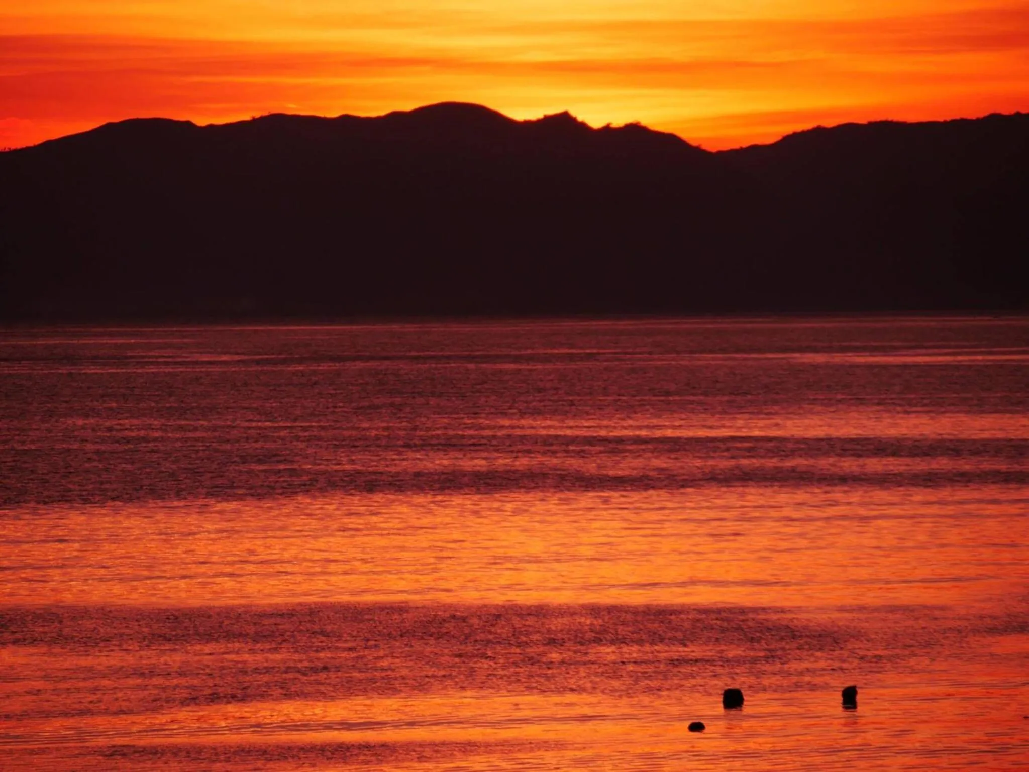 Spring in Quo Vadis Dive Resort