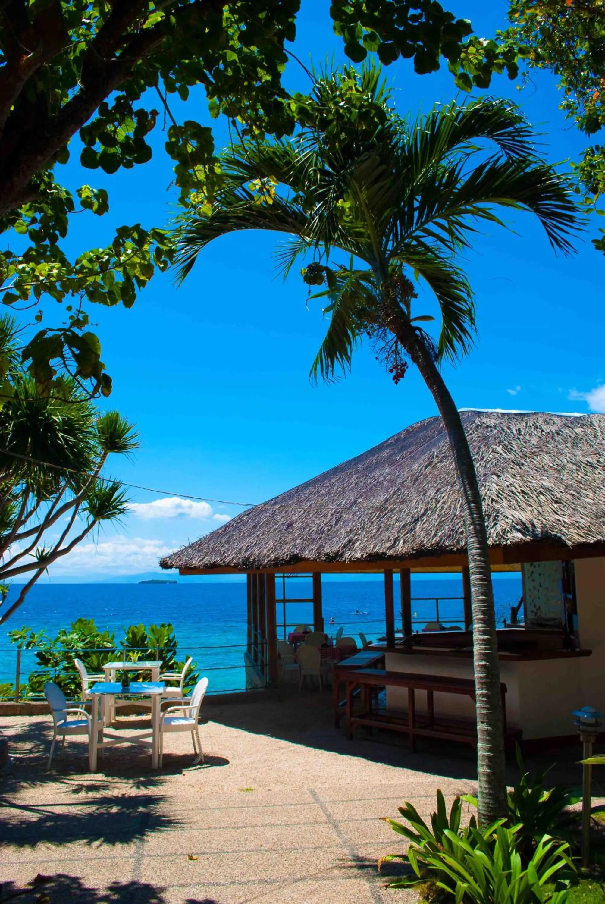 Day in Quo Vadis Dive Resort