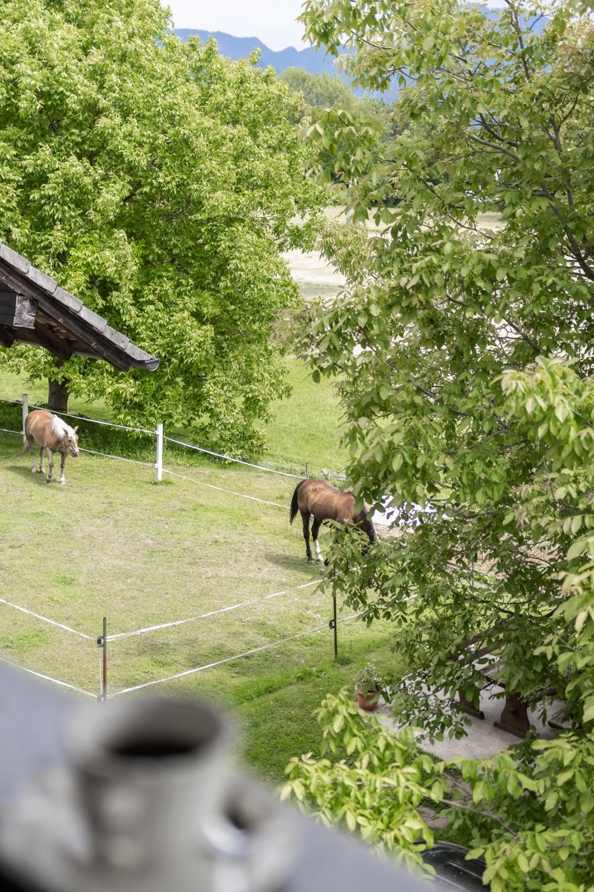 View (from property/room) in Apartments-Rooms Kocijancic