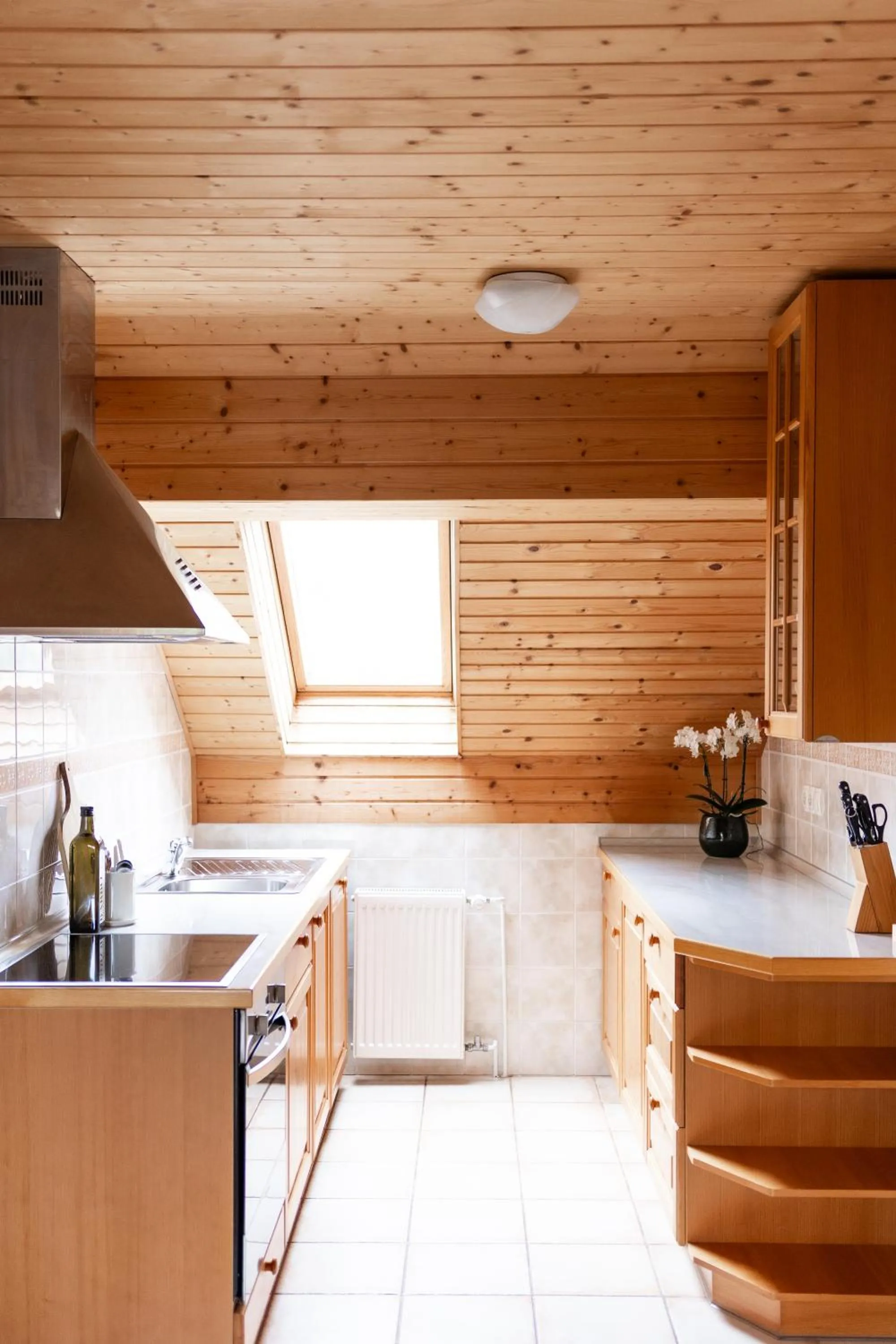 Kitchen or kitchenette in Apartments-Rooms Kocijancic