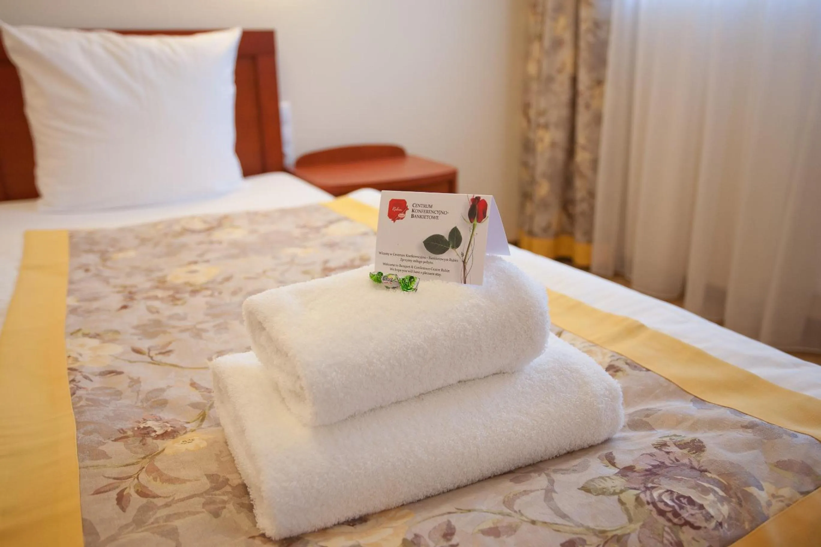Double Room - single occupancy in Hotel Rubin