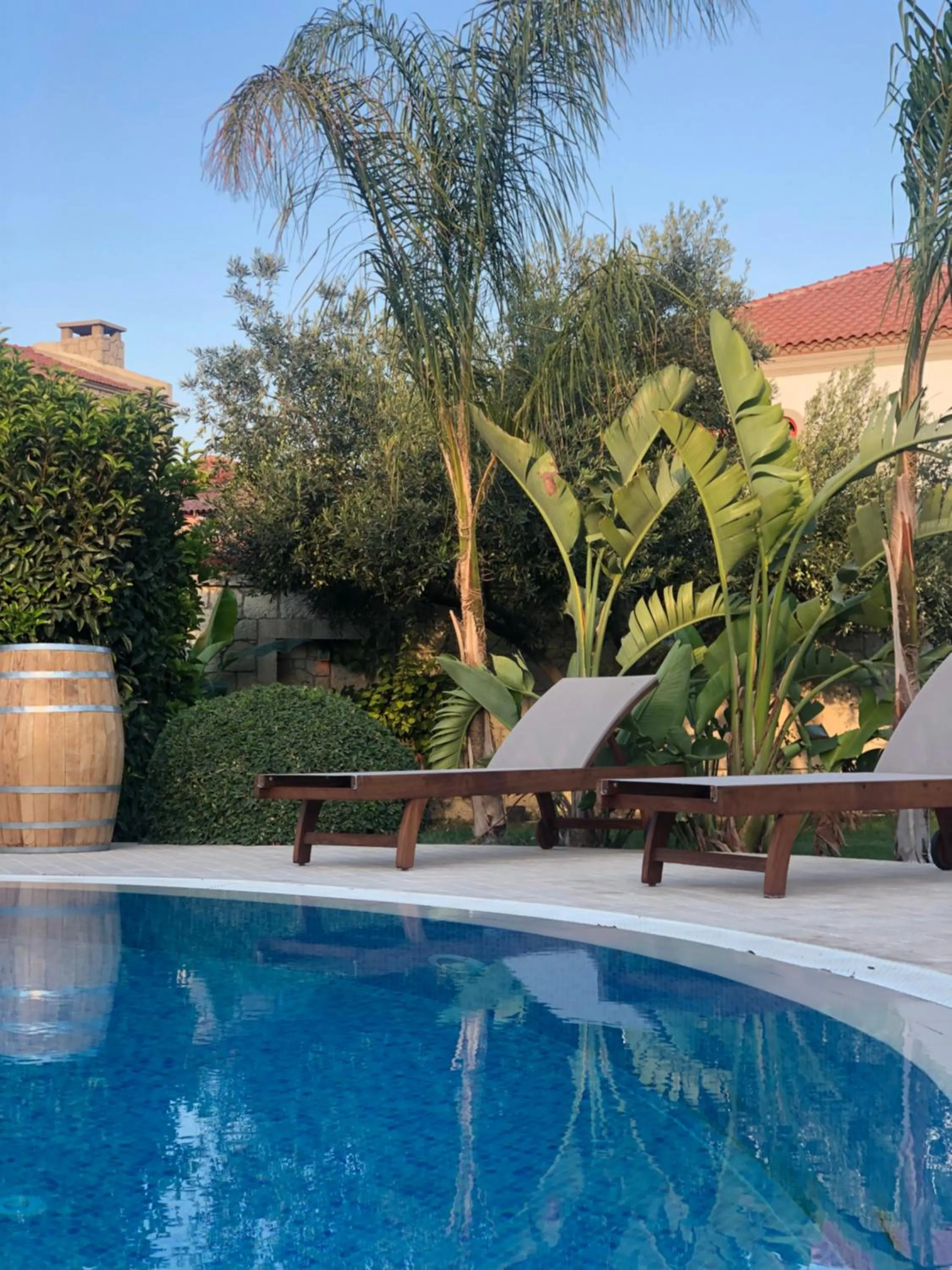 Garden in Triangulo Hotel