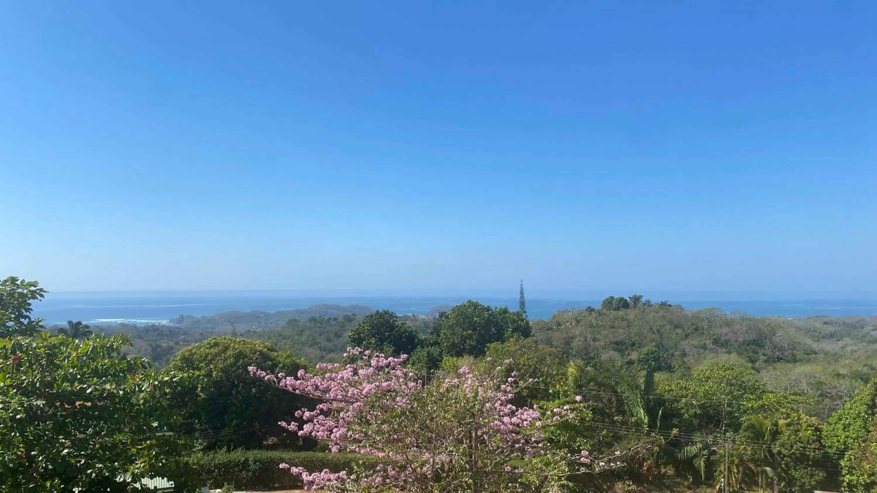 Sea view in Lodge Las Estrellas de Samara - Ocean View
