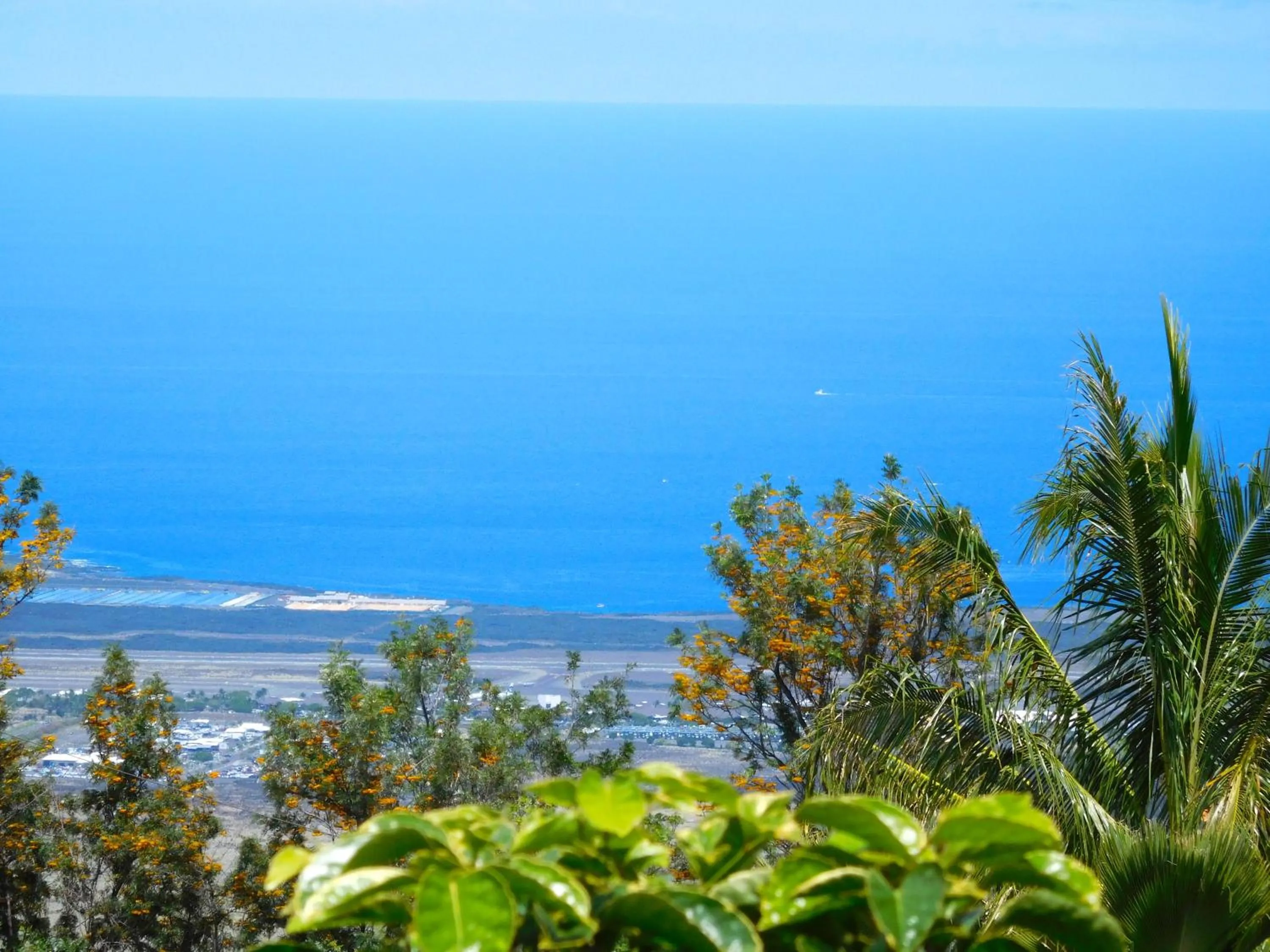 Sea view in Bears' Place Guest House