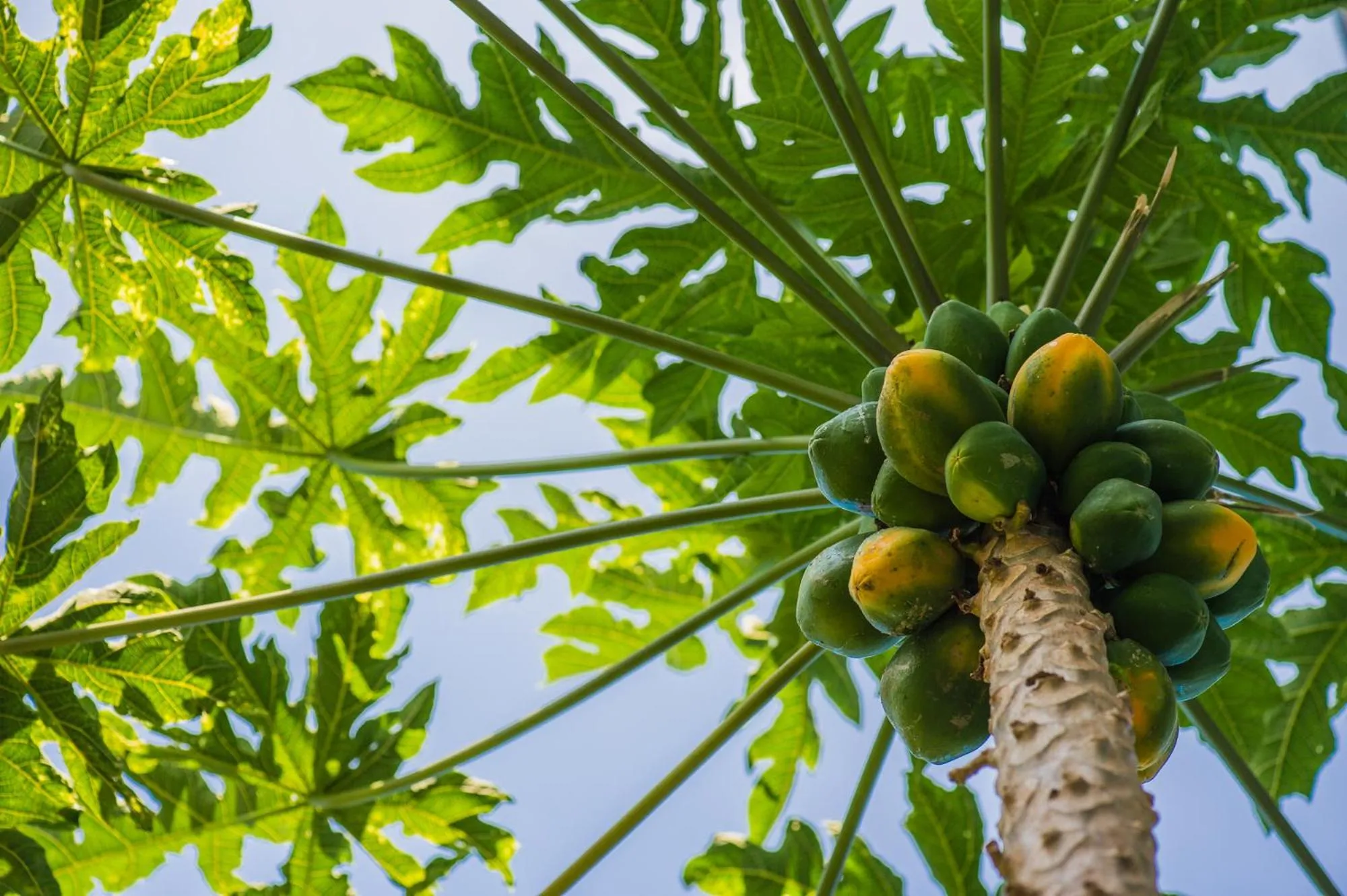 Bears' Place Guest House