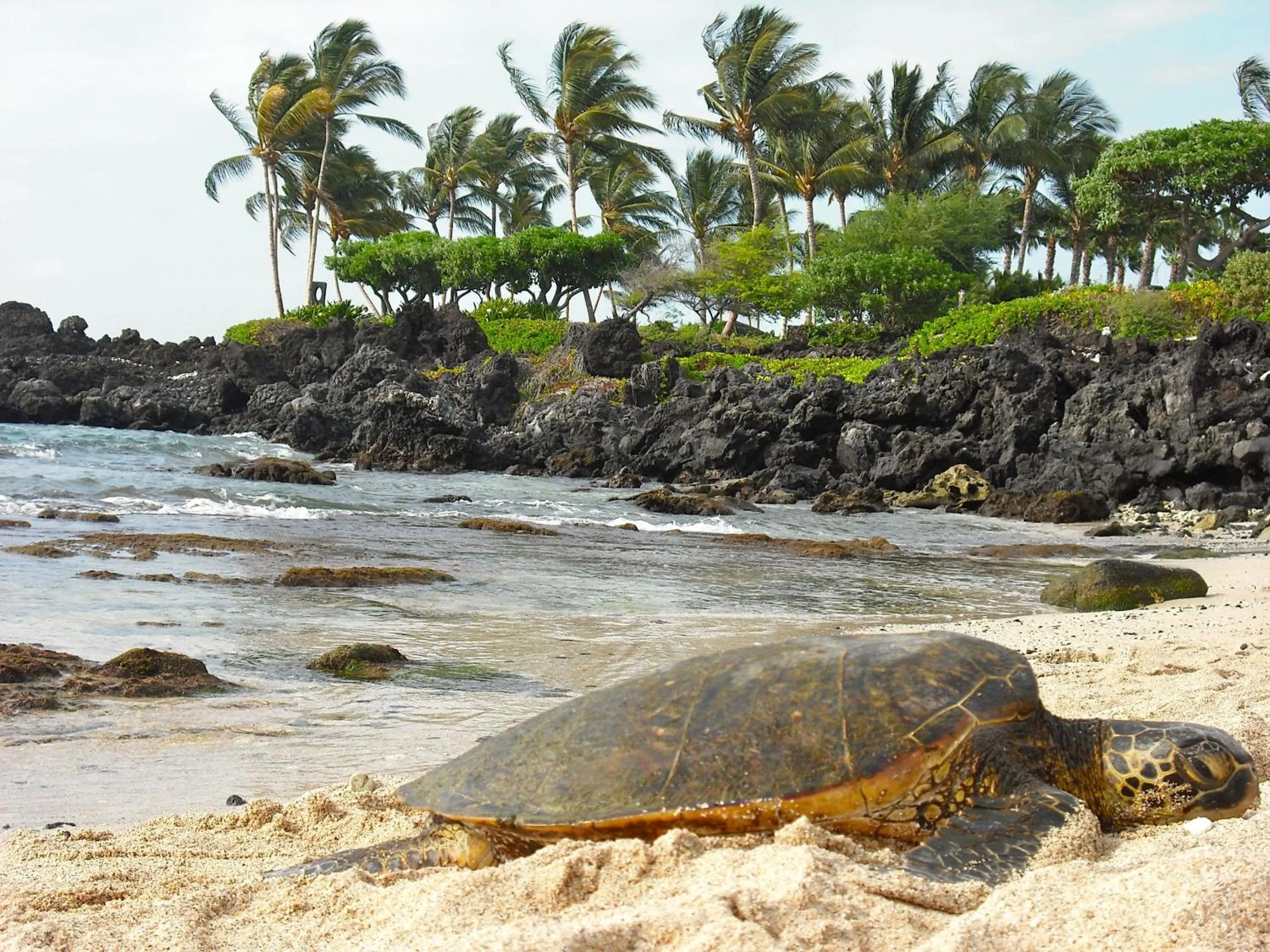 Natural landscape in Bears' Place Guest House
