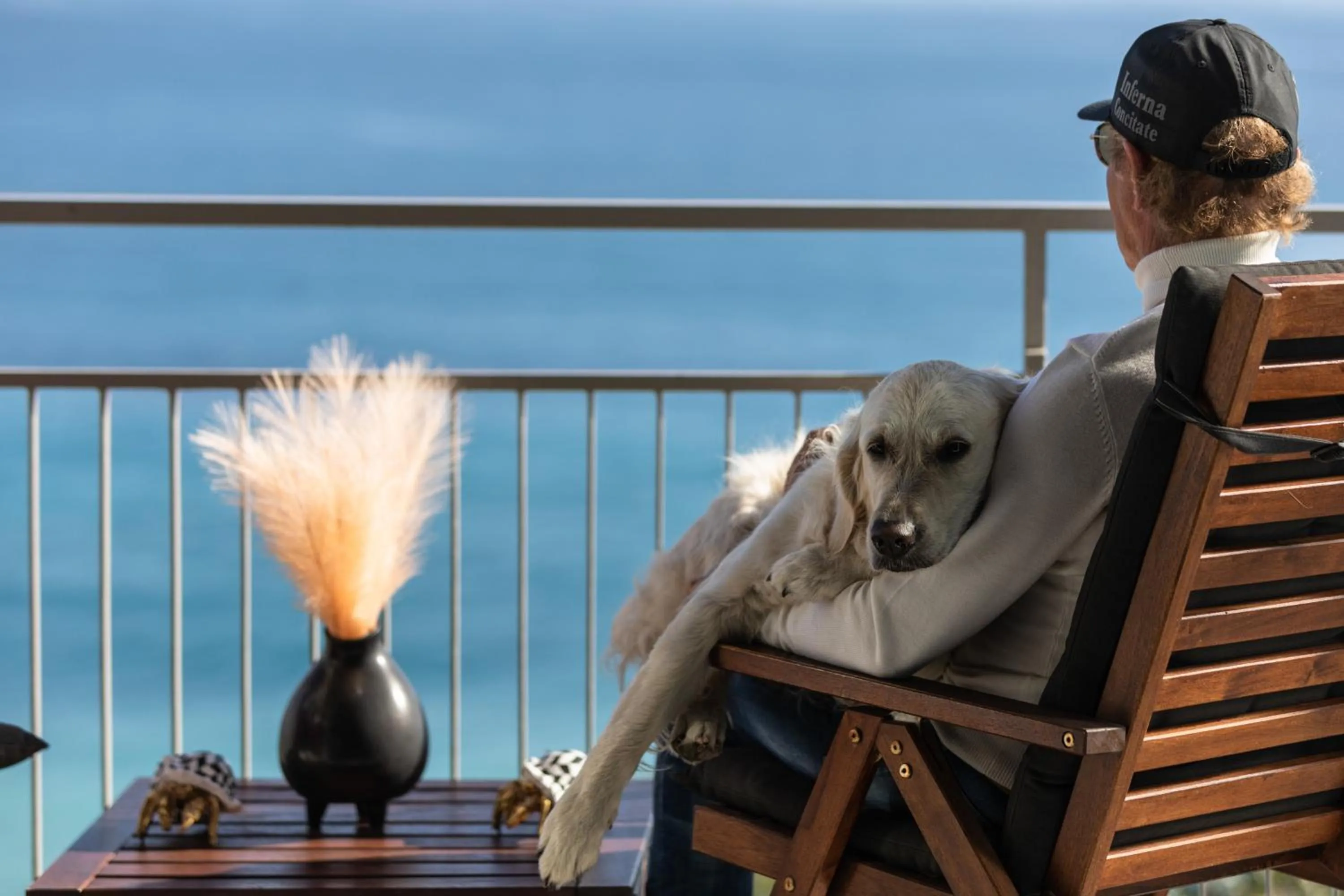 Pets in Baba Residences