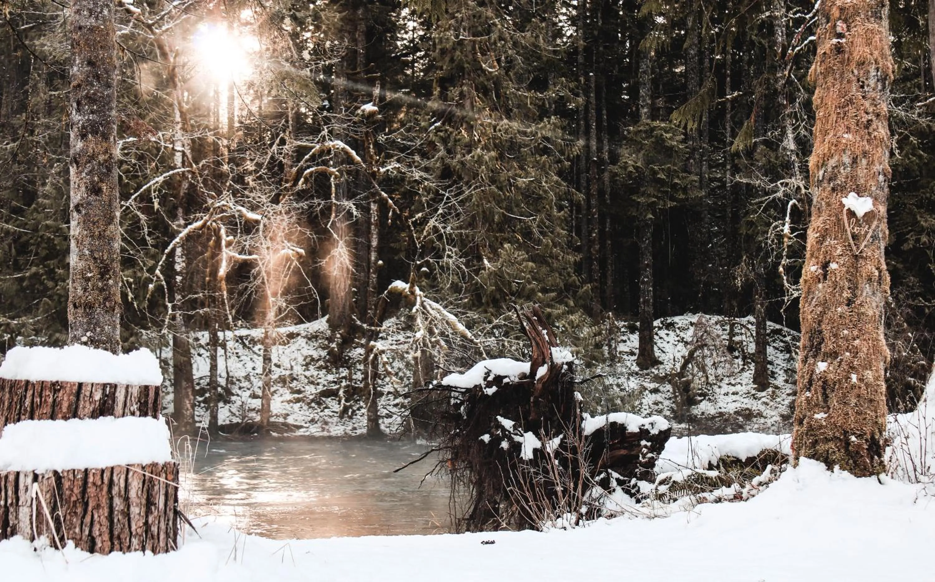 Cowichan River Lodge