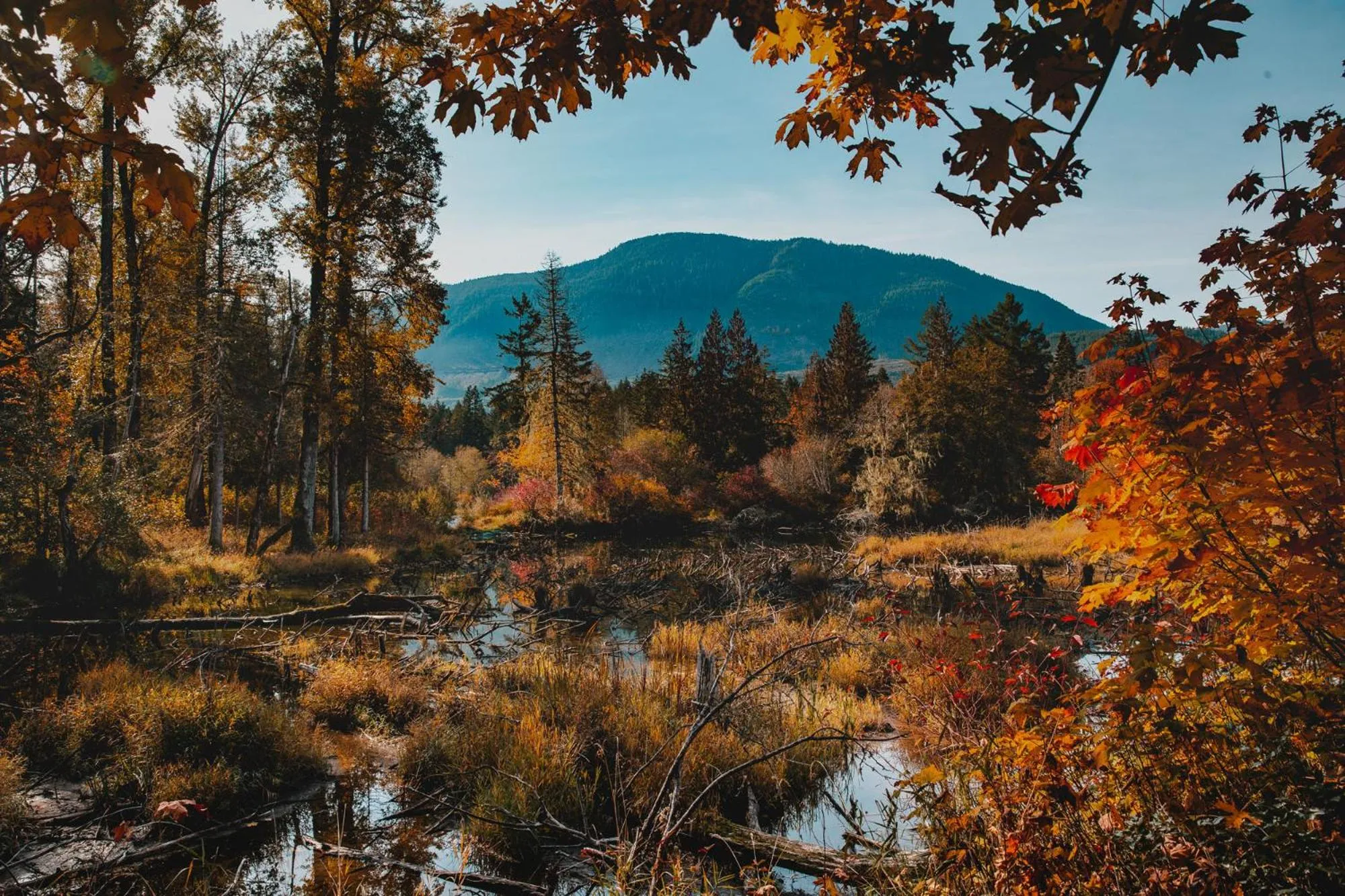 Property building in Cowichan River Lodge