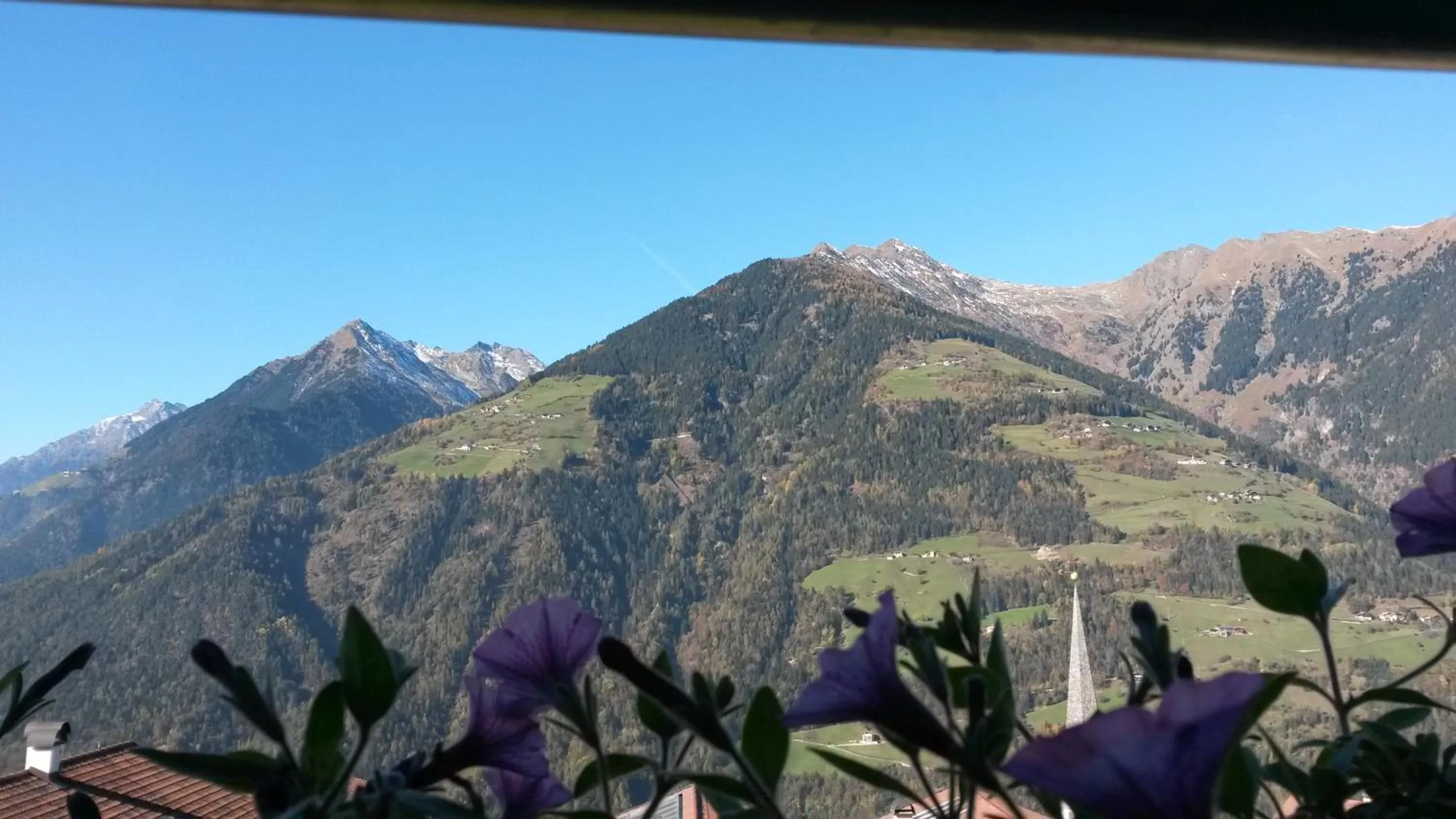 Balcony/Terrace in Hotel Garni Alpenhof