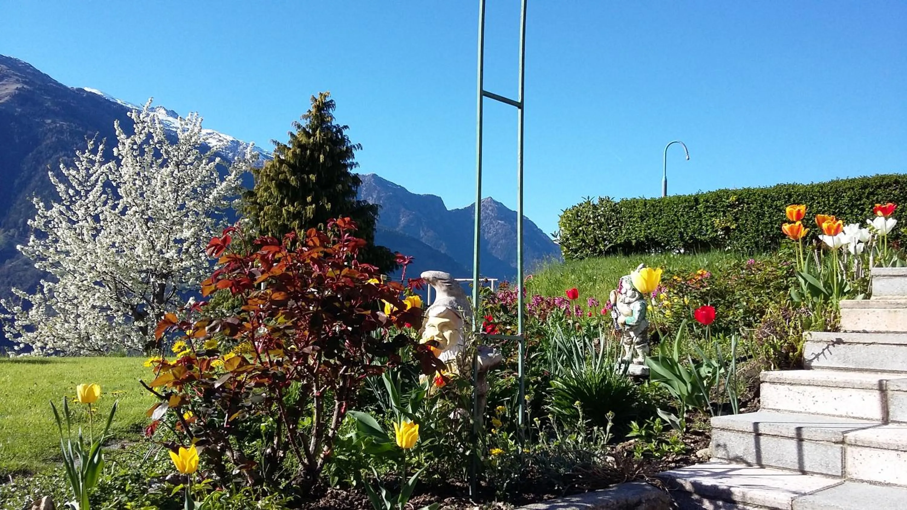 Spring in Hotel Garni Alpenhof