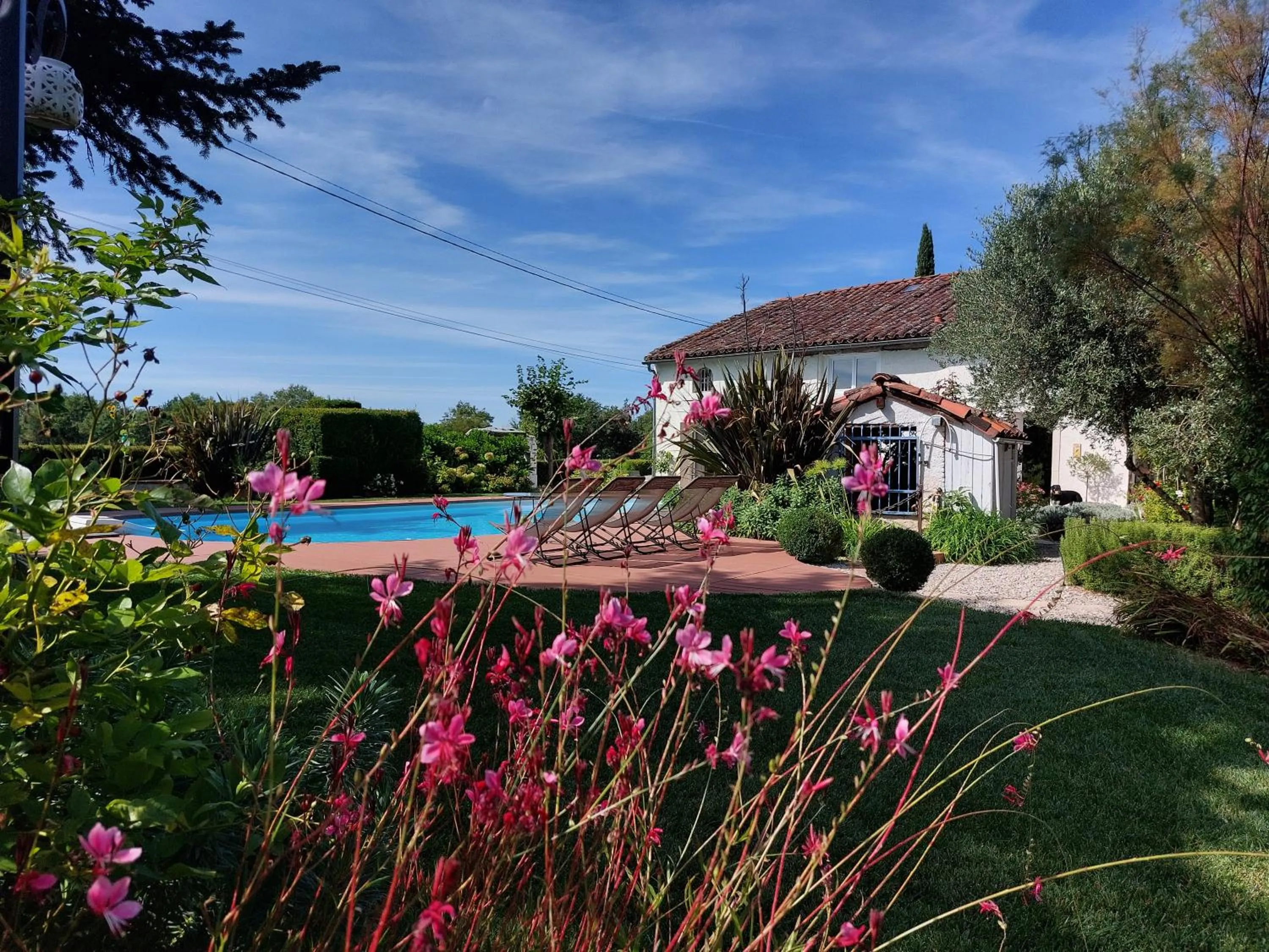 Pool view in Le Clos de Saint Amour