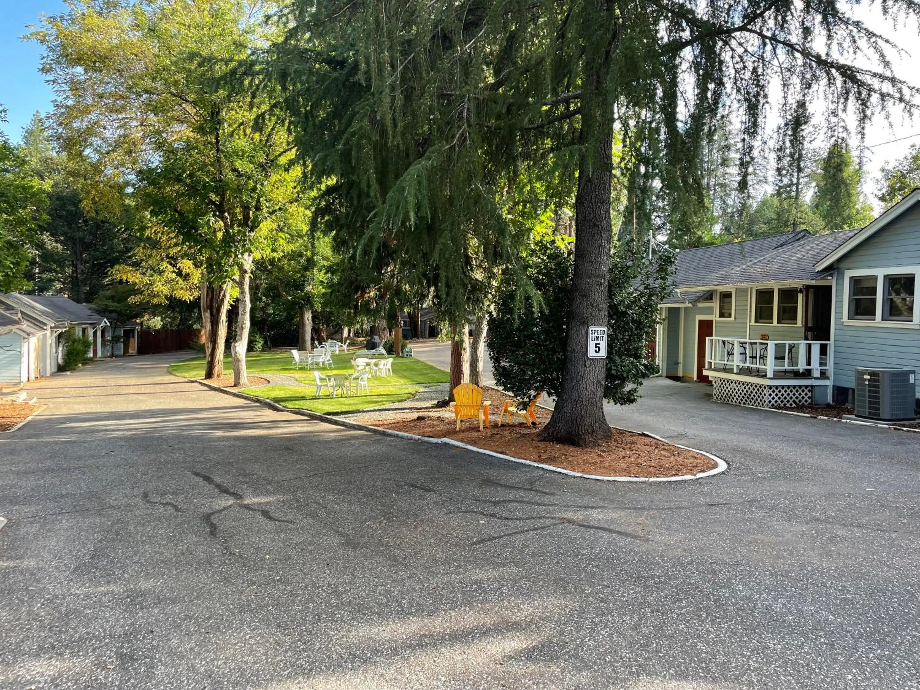 Garden in Piety Hill Cottages