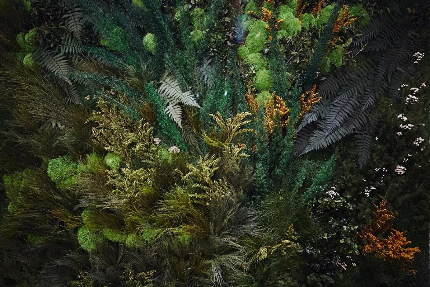 Natural landscape in Kyriad Prestige Lyon Est - Saint Priest Eurexpo Hotel and SPA