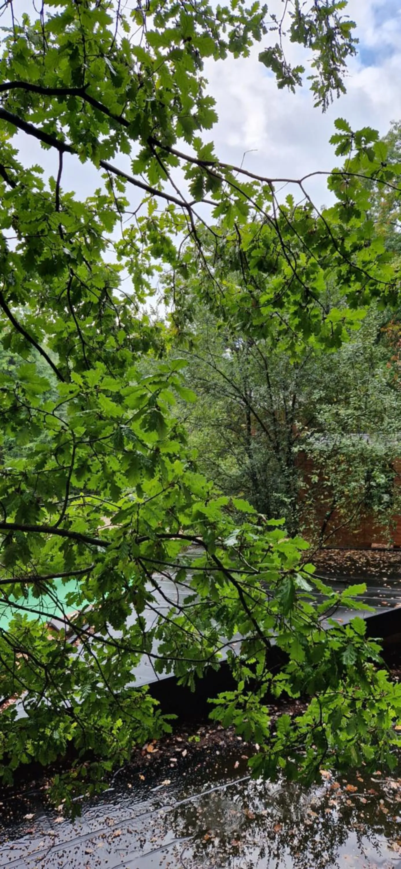 Garden in Utopia Hotel - Art & Nature Hotel