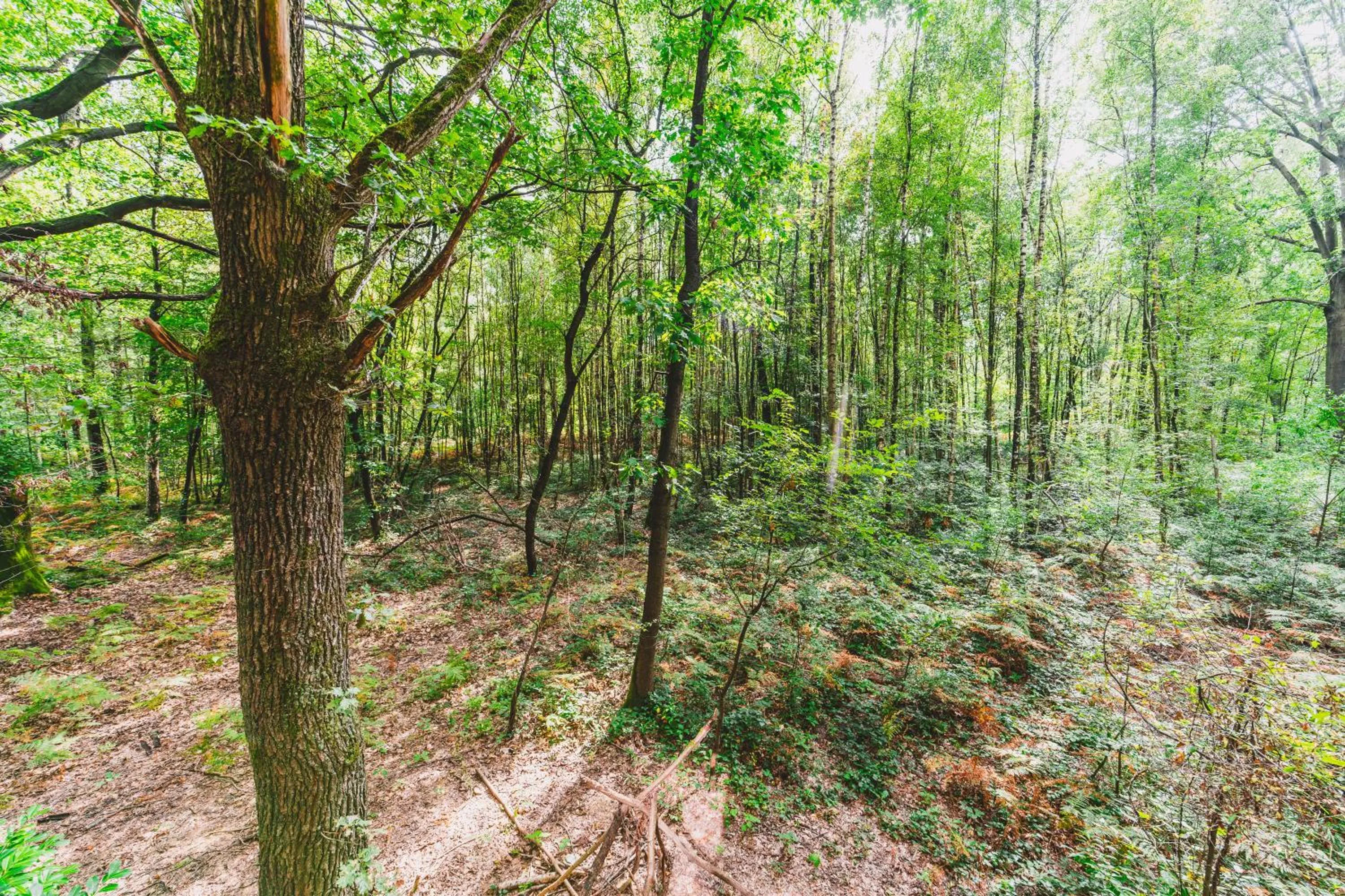 Natural landscape in Utopia Hotel - Art & Nature Hotel