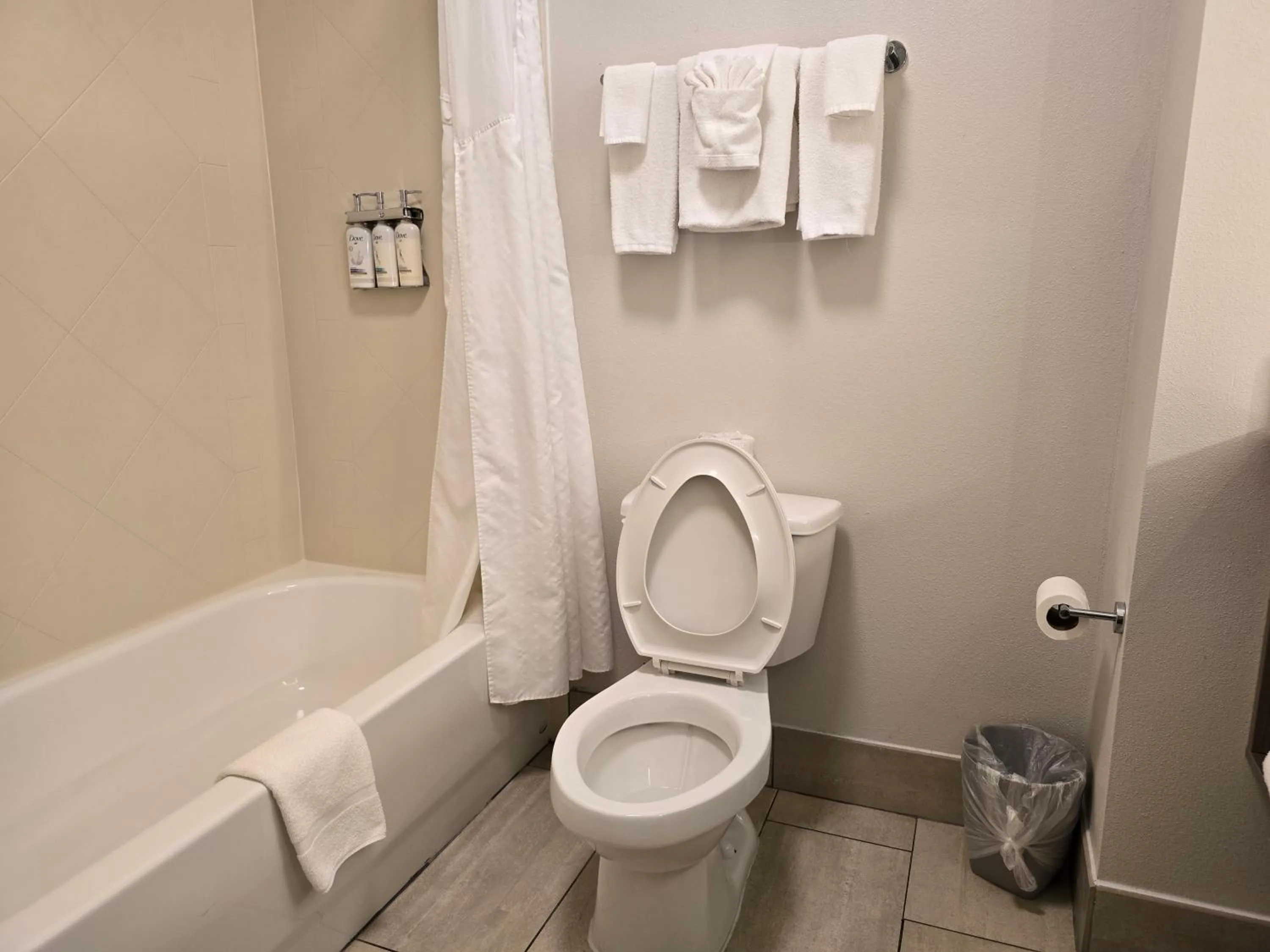 Bathroom in Holiday Inn Express & Suites - Smithfield/Selma by IHG
