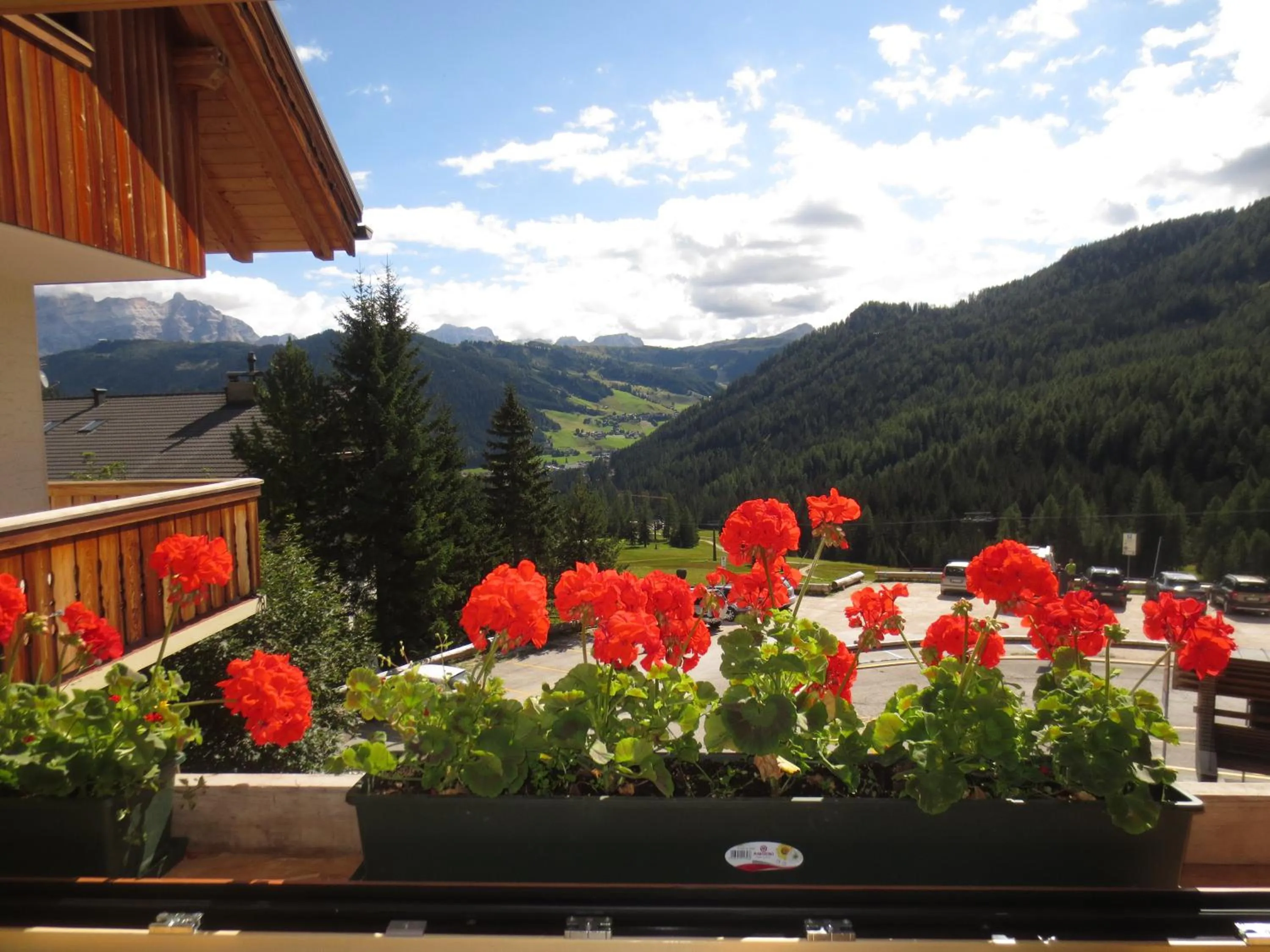 View (from property/room) in Hotel Borest