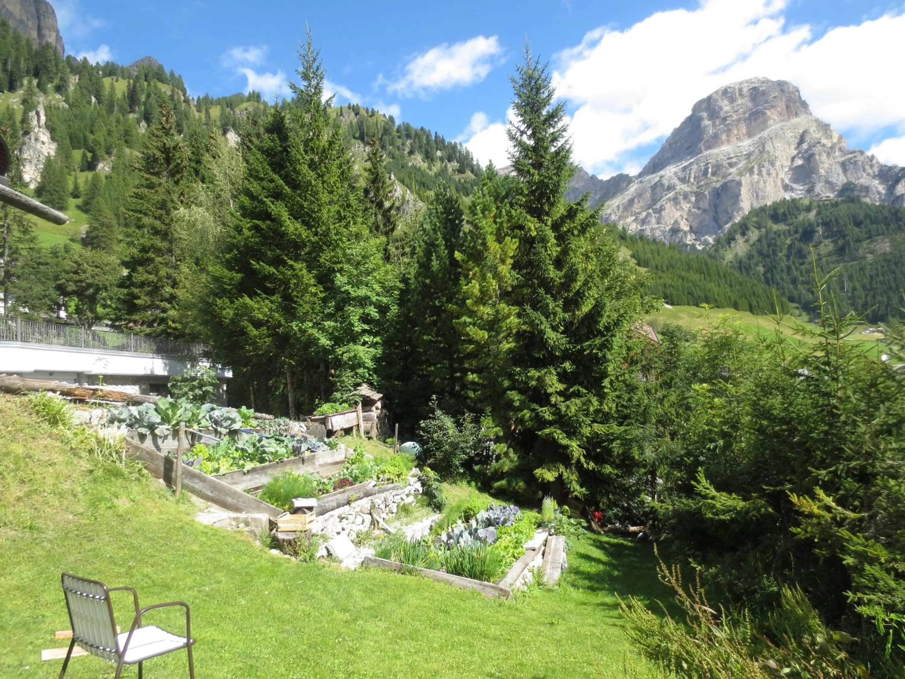 View (from property/room) in Hotel Borest