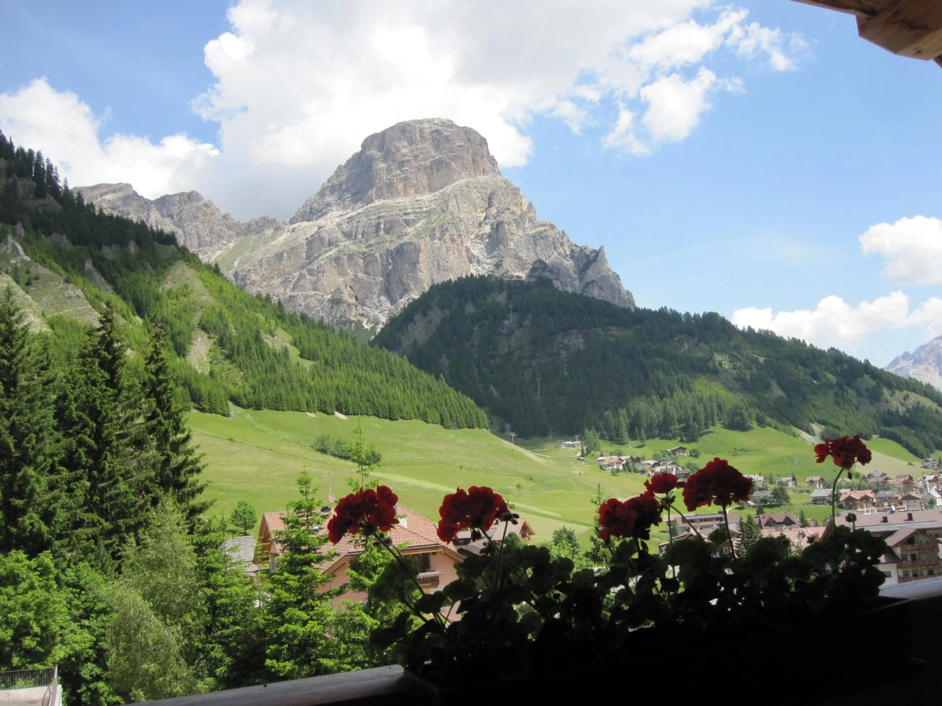 View (from property/room) in Hotel Borest