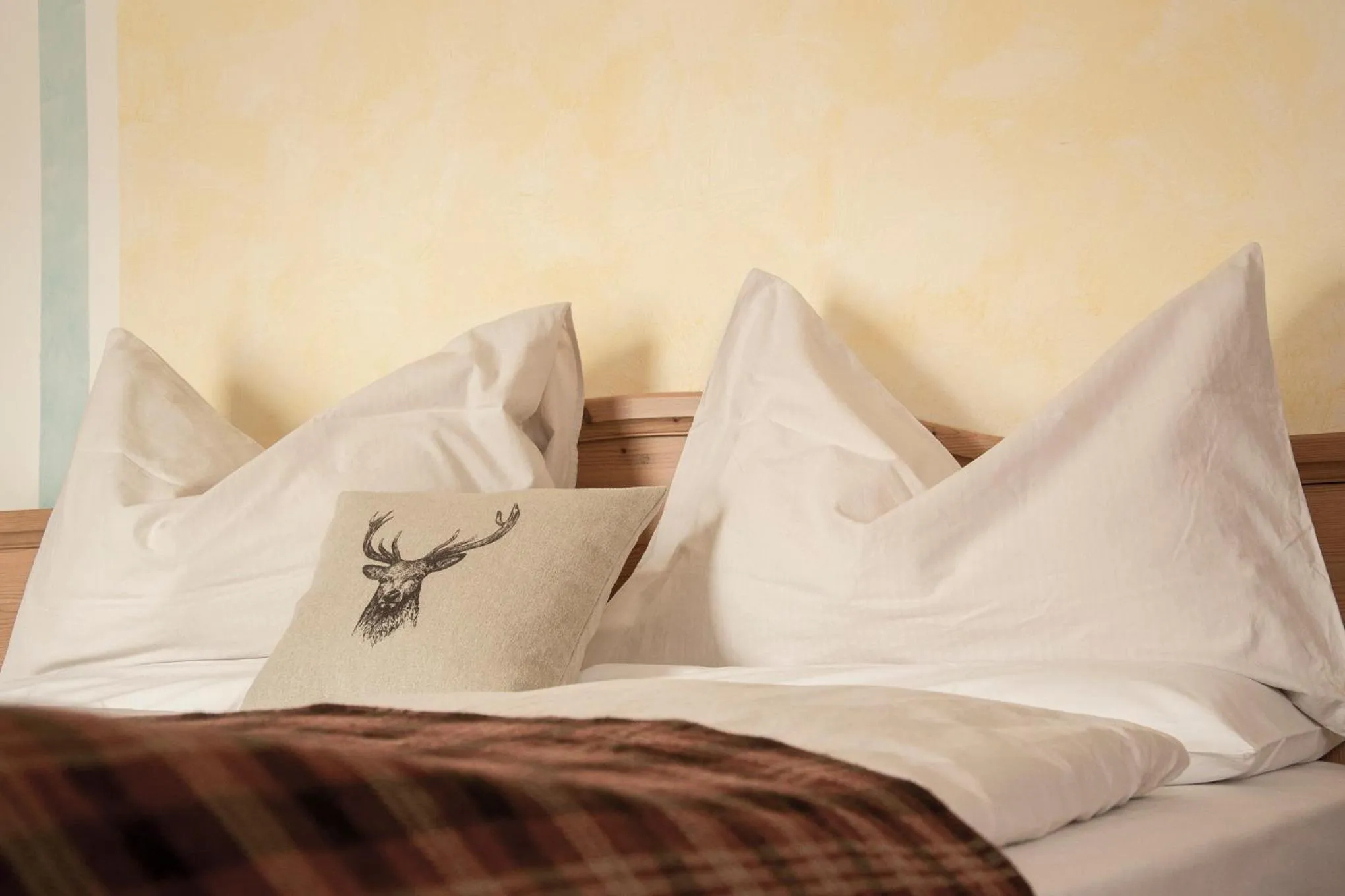 Bed in Albergo Centrale