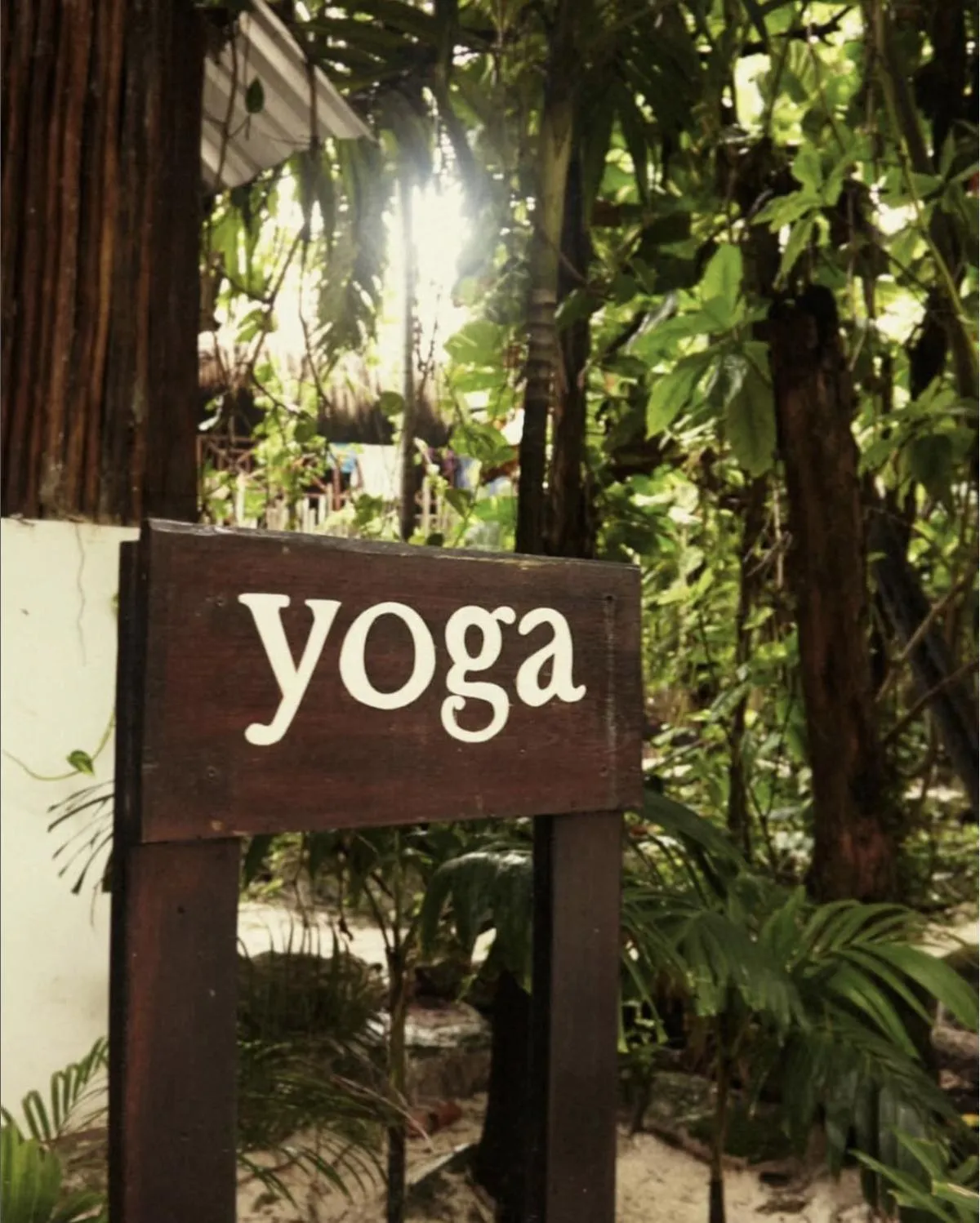 Garden in Casa Violeta