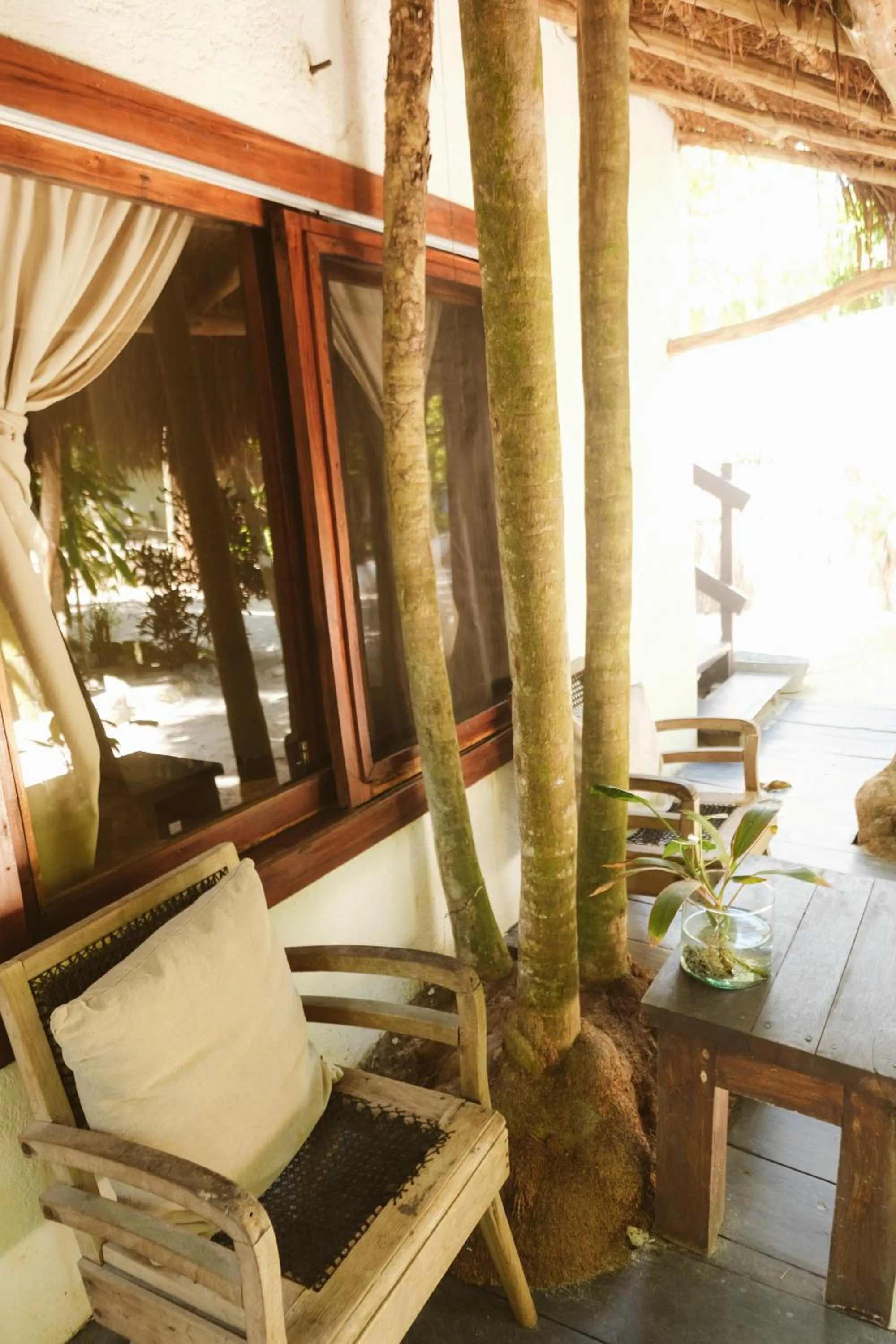 Garden view in Casa Violeta