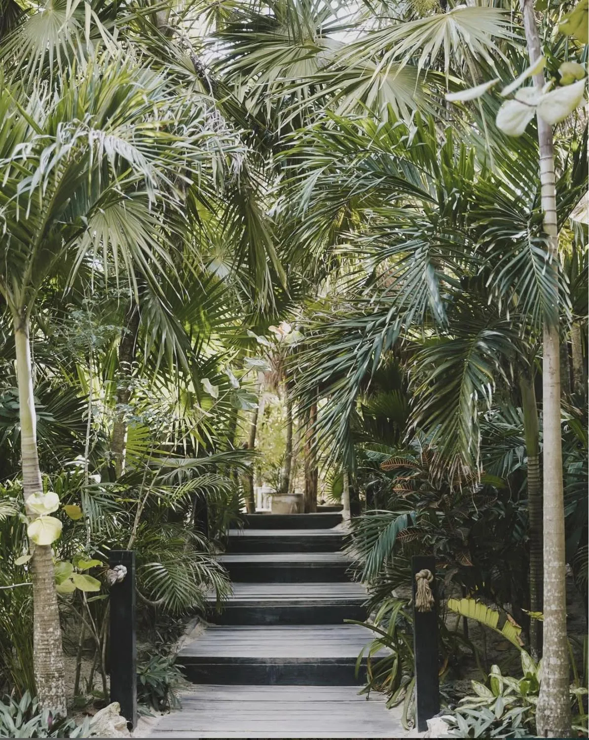 Garden in Casa Violeta