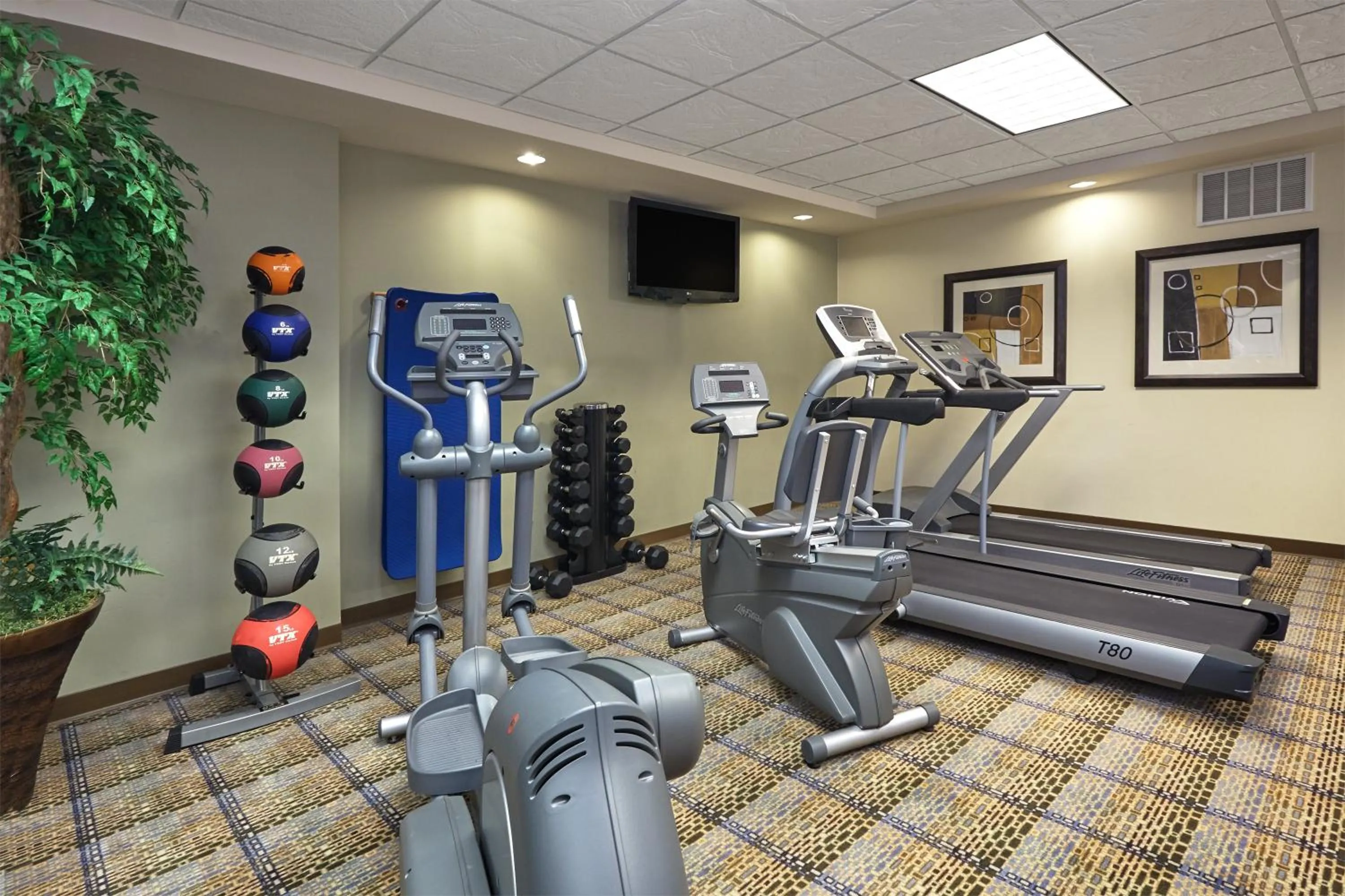 Spa and wellness centre/facilities in Holiday Inn Express & Suites Madison-Verona by IHG