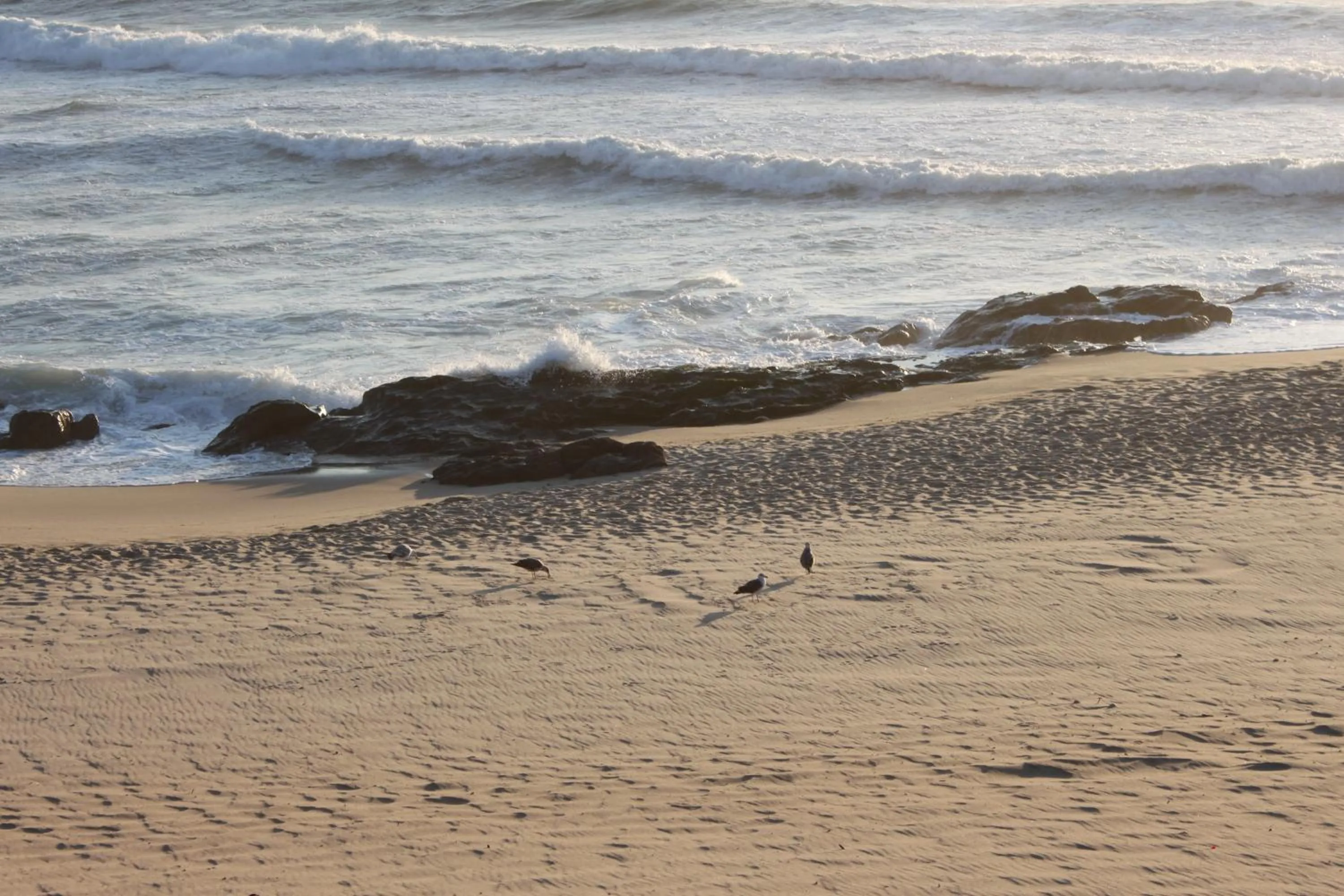 Natural landscape in Hotel Quasar