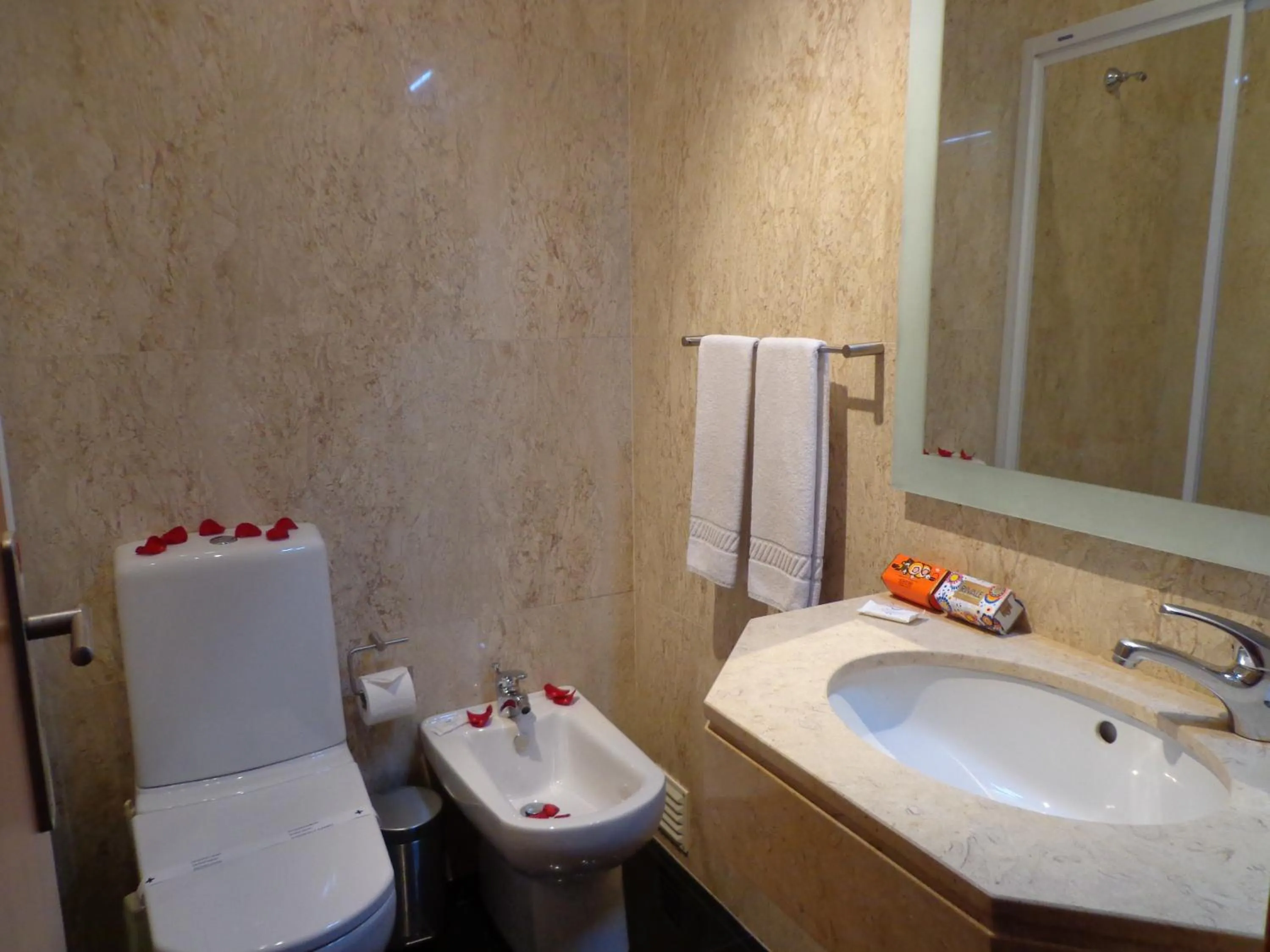 Executive Double Room or Twin in Hotel Quasar