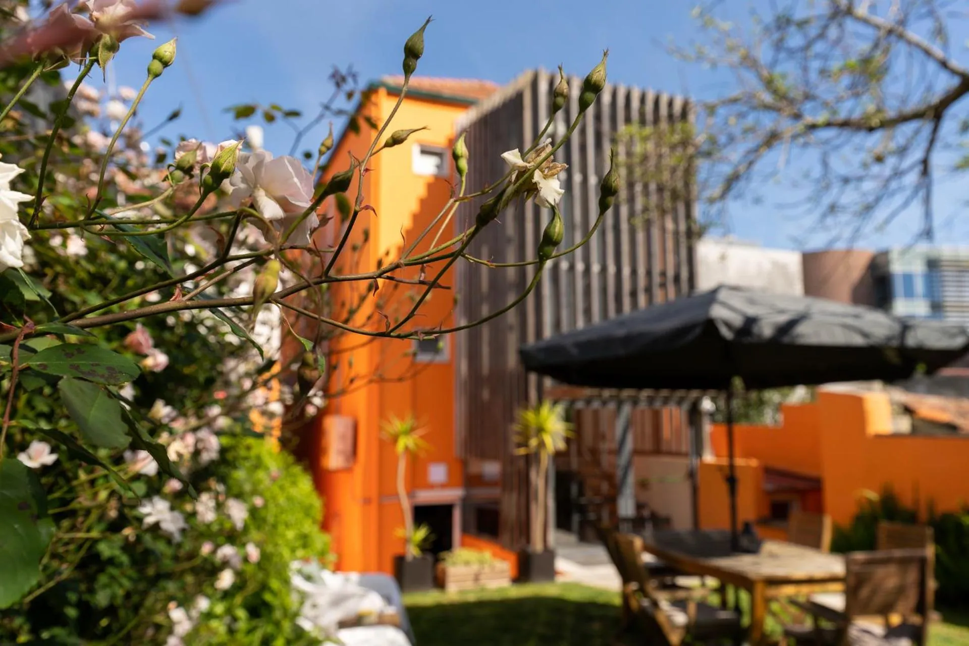 Peach Hostel & Suites