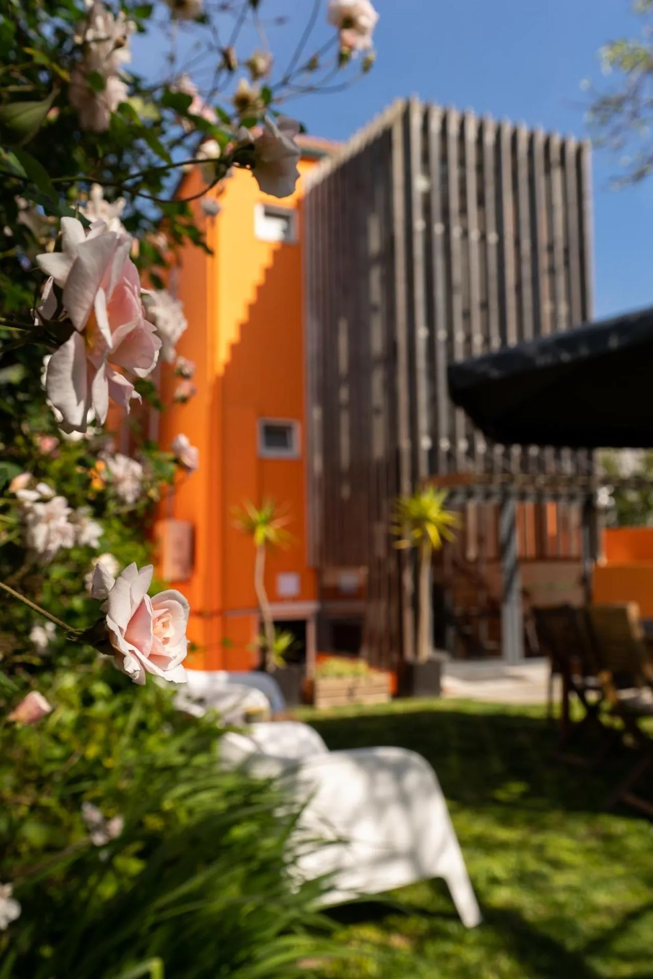 Peach Hostel & Suites