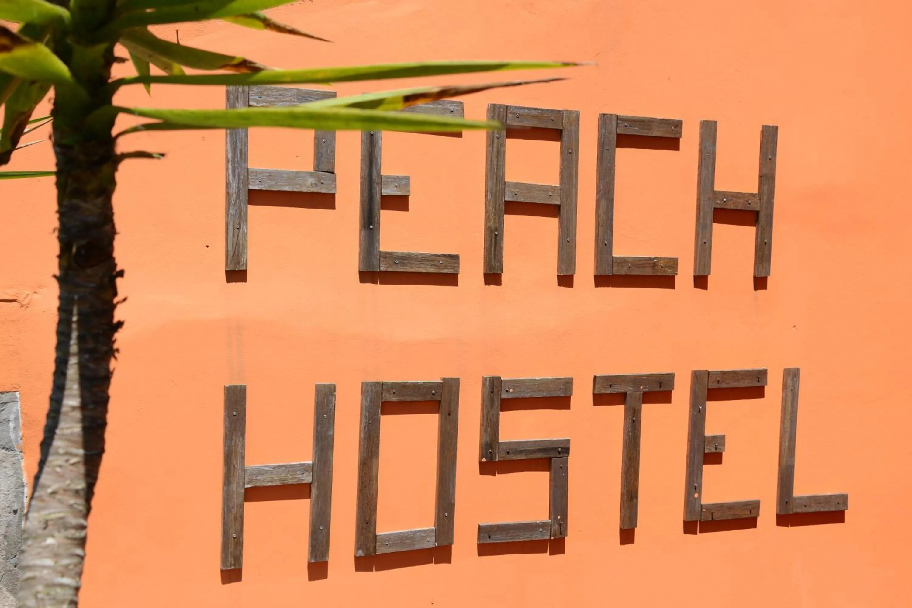 Peach Hostel & Suites