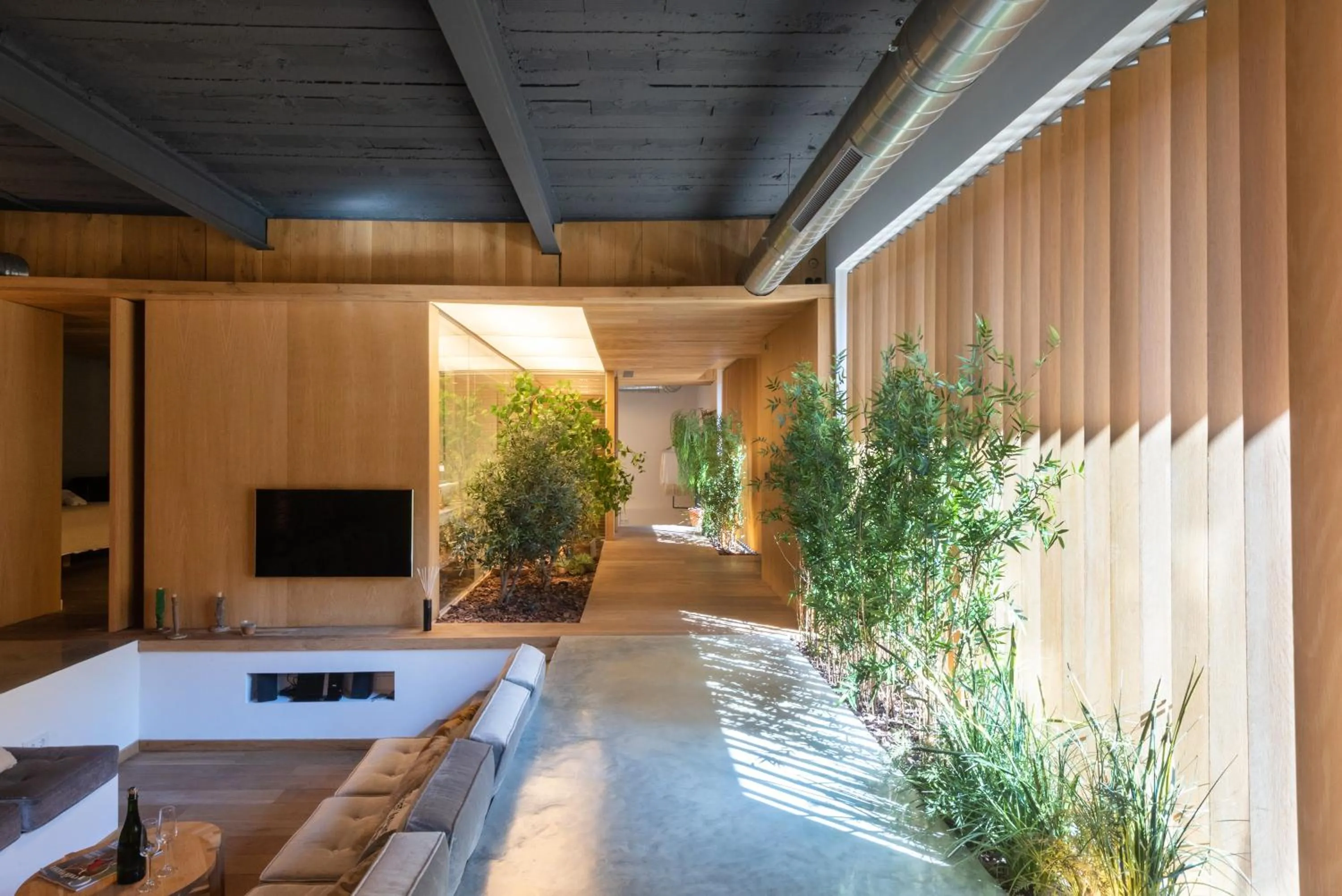 TV and multimedia in Petit Luxe Loft