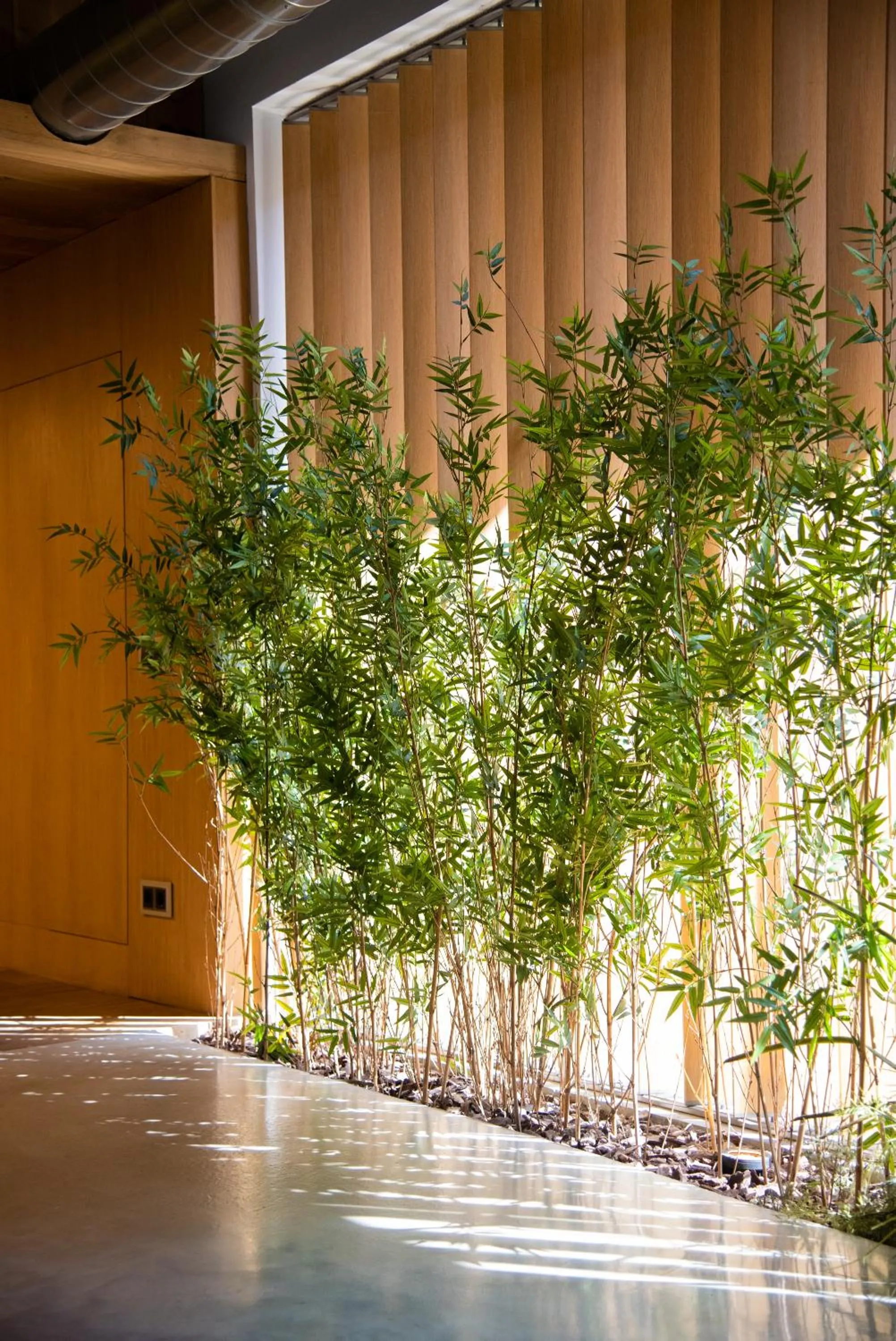 Facade/entrance in Petit Luxe Loft