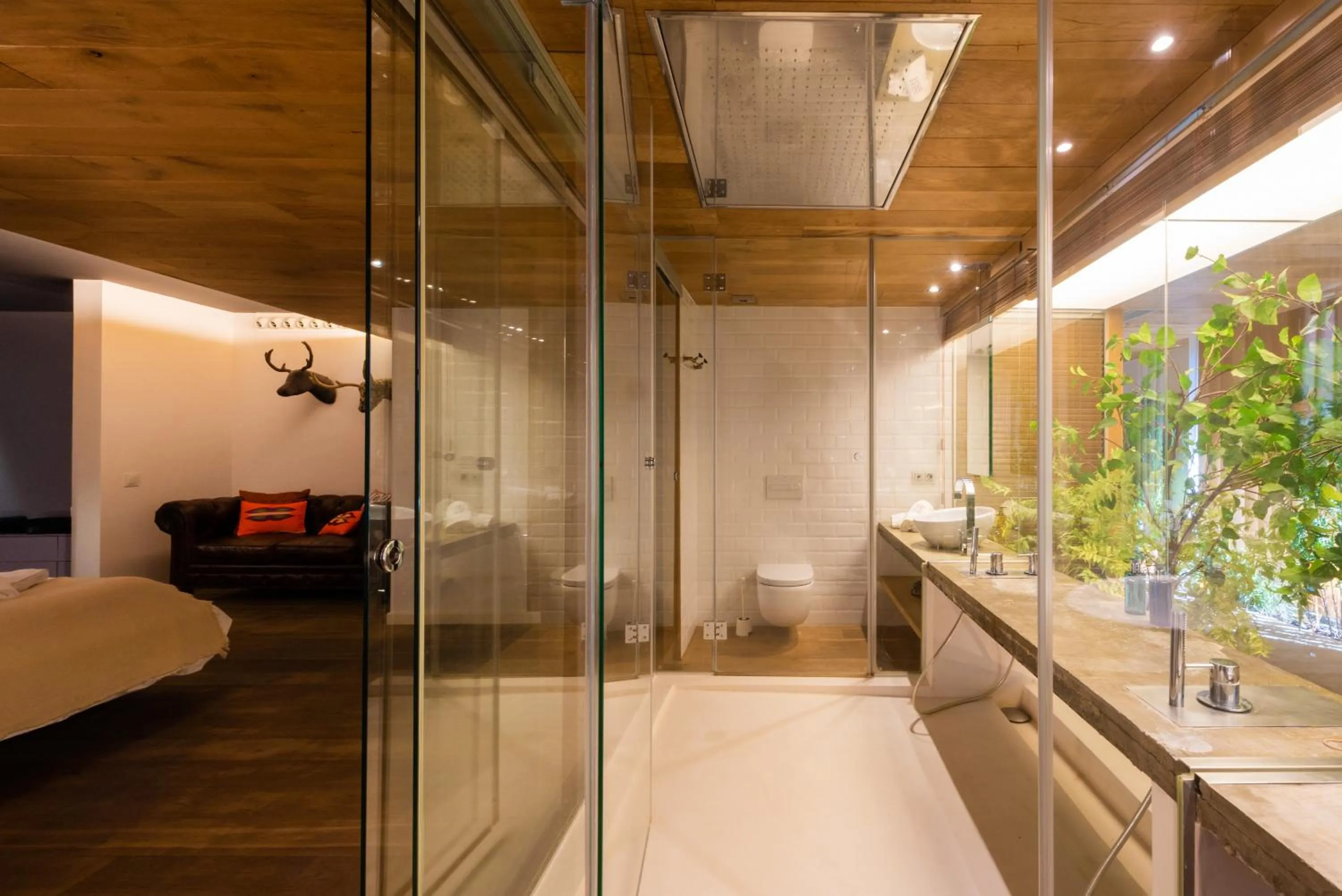 Shower in Petit Luxe Loft